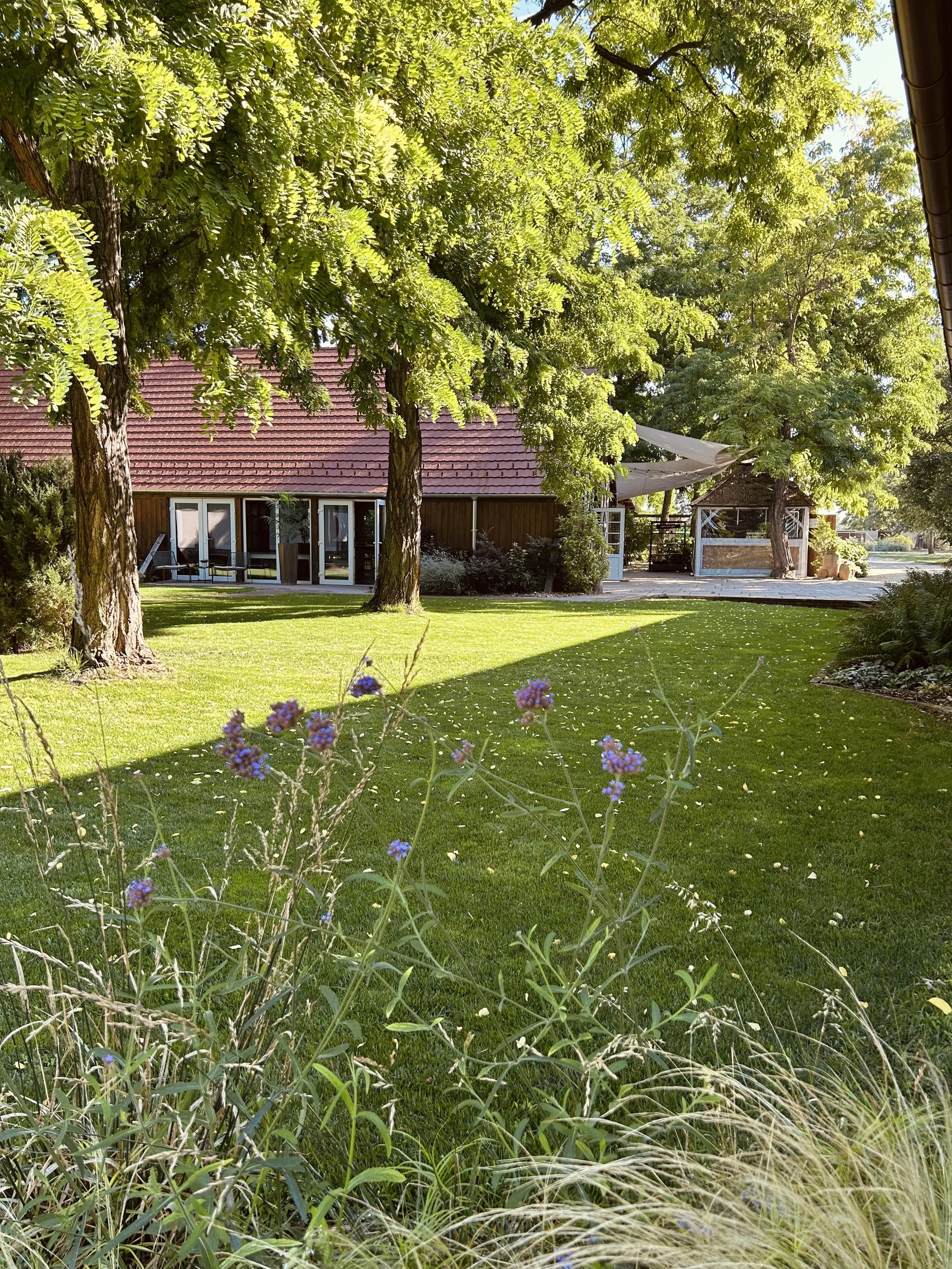 A lush green backyard with tall trees, a well-maintained lawn, and a building with a red tiled roof. There are flowers in the foreground and a shaded seating area in the background.