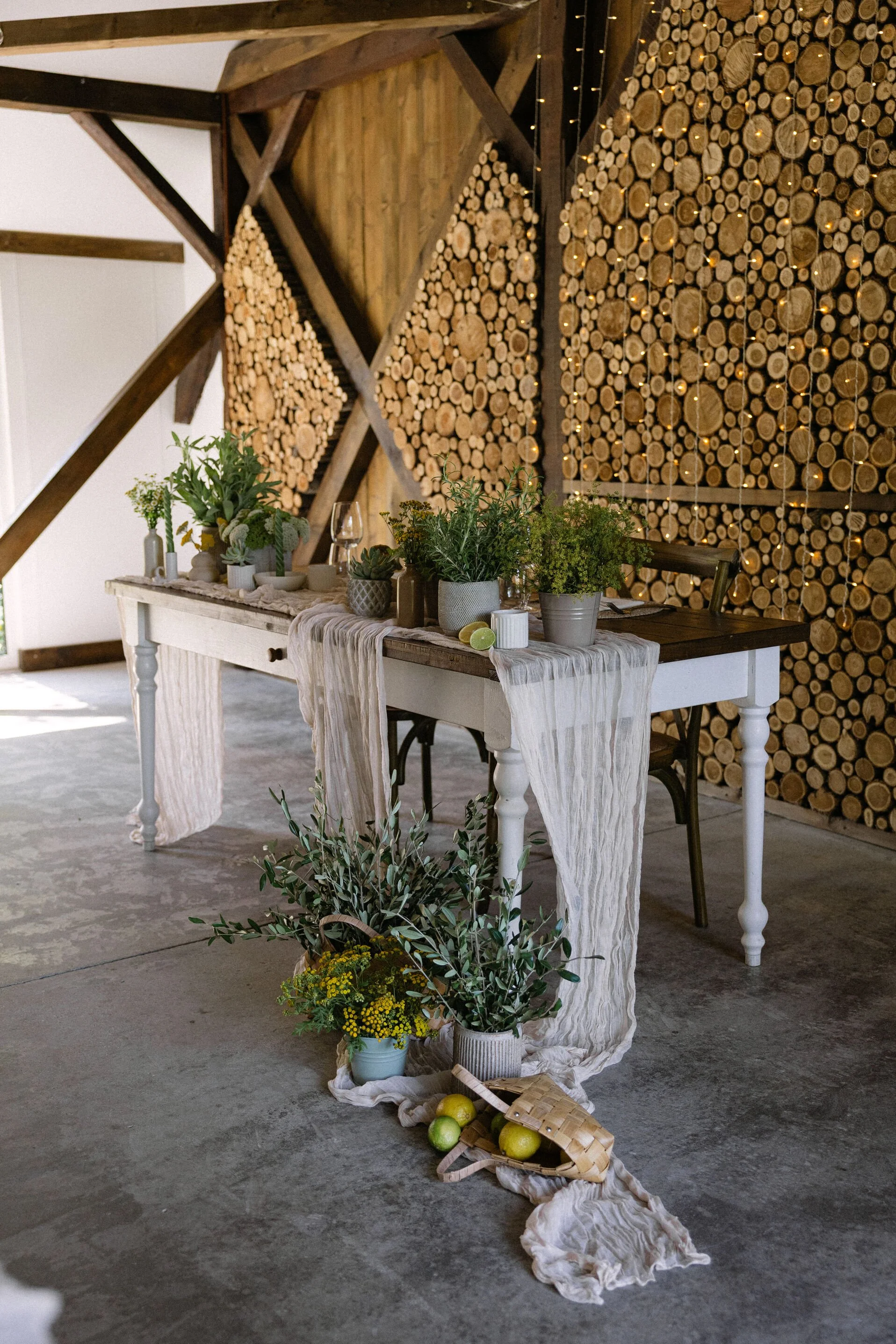 A rustic indoor table setting with potted plants, lemons, and a glass of wine in front of a wood and log wall, decorated with string lights.