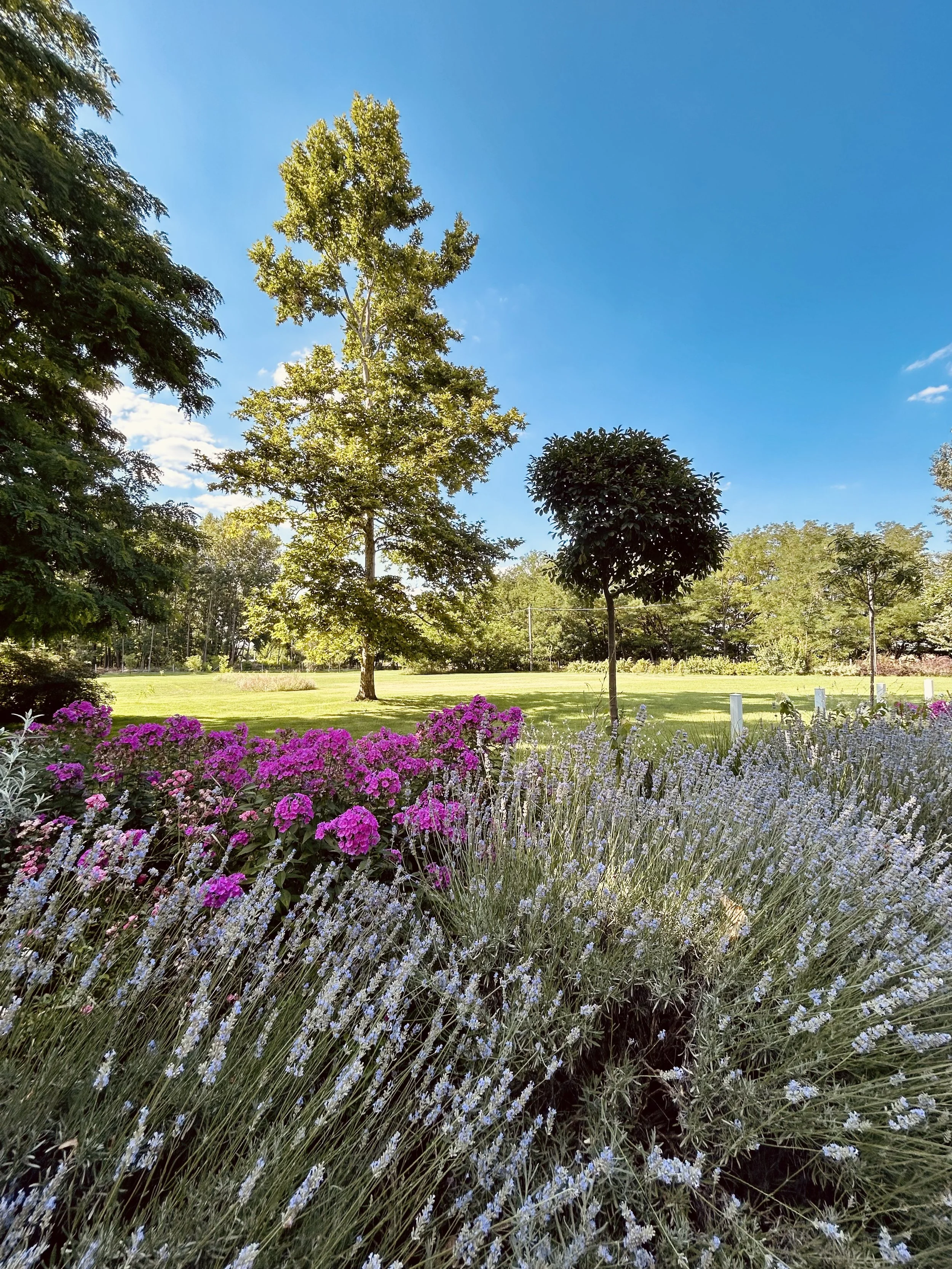 A garden with pink and purple flowers in the foreground, green trees, grassy lawn, and a clear blue sky in the background.
