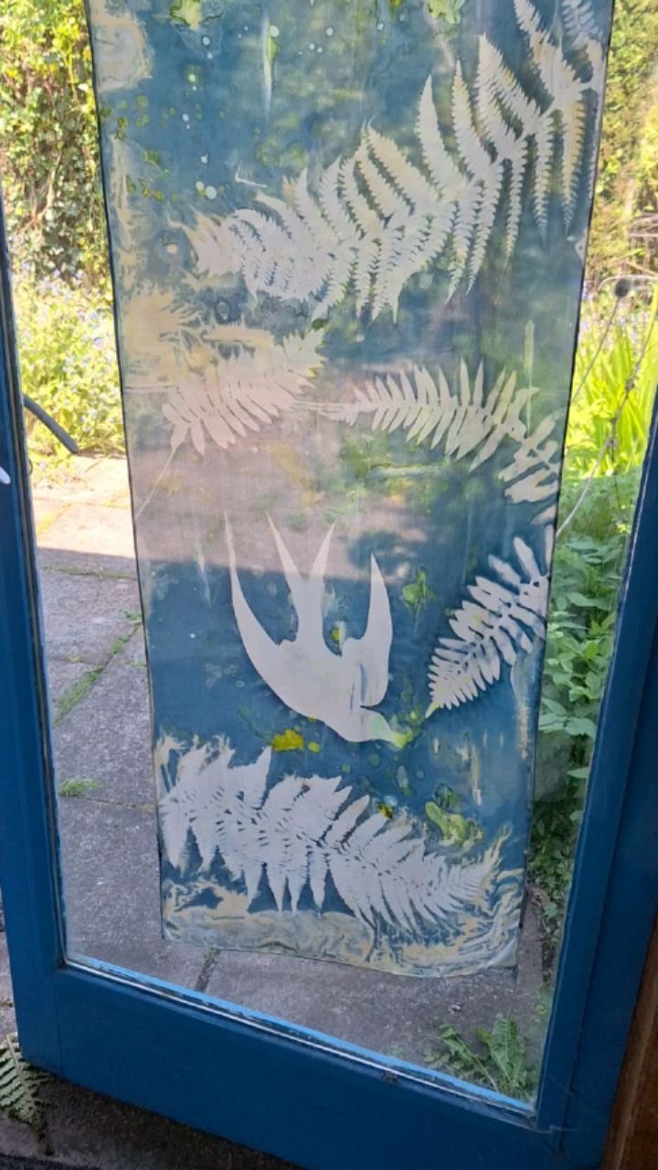 Cyanotyping in the sun.
Ferns, swallow and a profusion of wildflowers. 
#ferns
#swallows 
#wildflowers 
#cyanotype 
#indigoblue 
#silkscarves