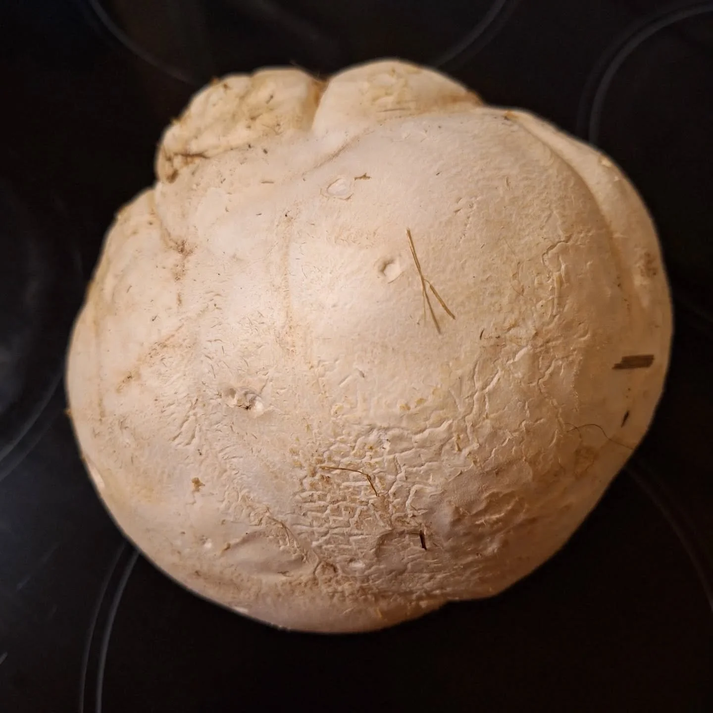 Hey! I just got home and found this on .y doorstep! Fabulous. Thank you so much whoever left it. X That's dinner tonight sorted.