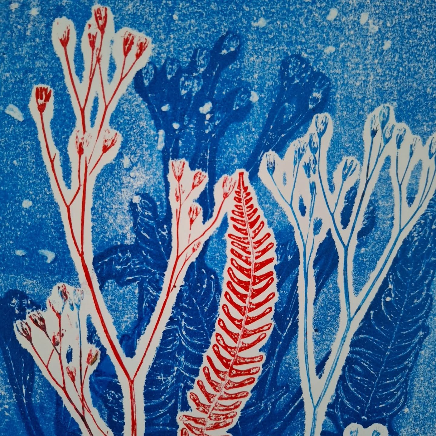 Having fun making sheets of prints to cut up next week and turn into Christmas cards. They will be for sale in @roadwatercommunityshop . 
#christmascards #monoprints #ferns #snow