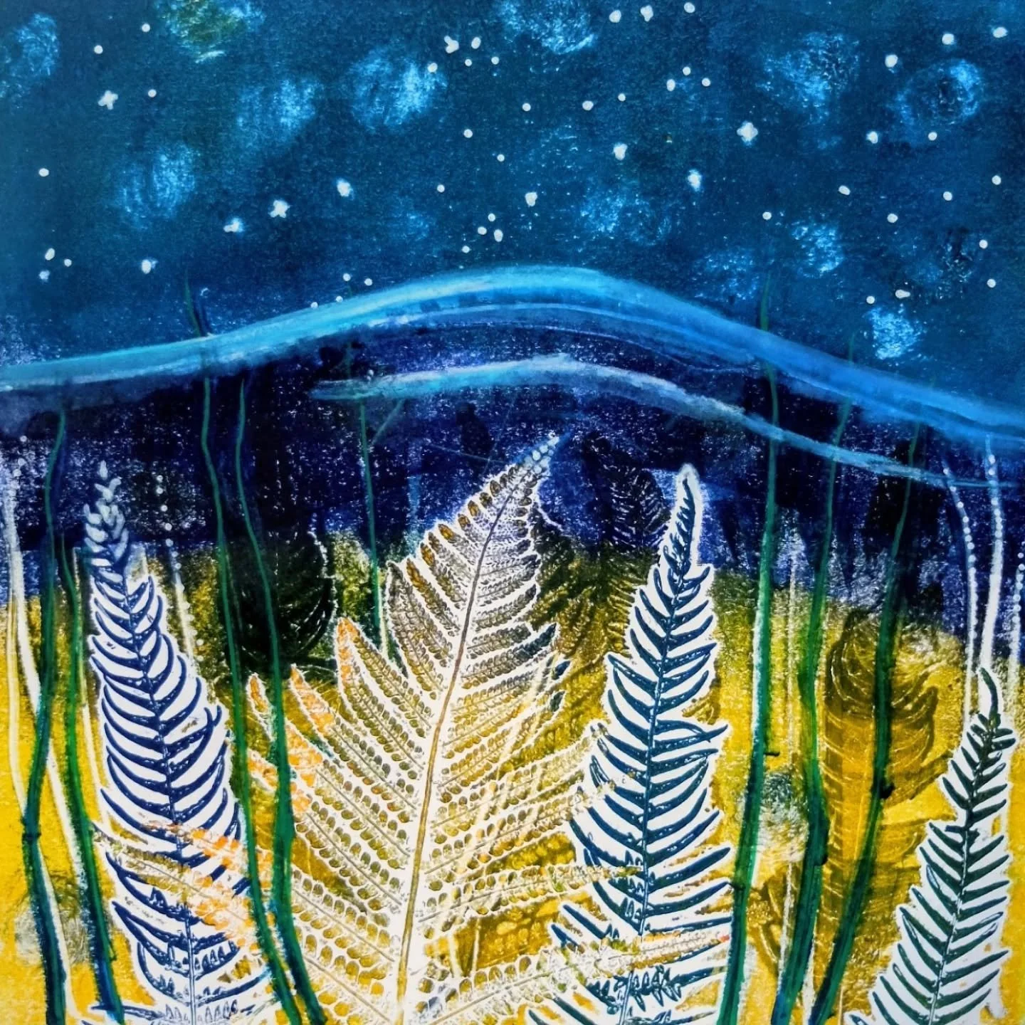 Today's obsession. Enough now!
Wondering whether to make some into cards? 
#monoprinting #winterskies #ferns #winter #maybecards#janehoodart #printmaker #somersetartist #color #fun