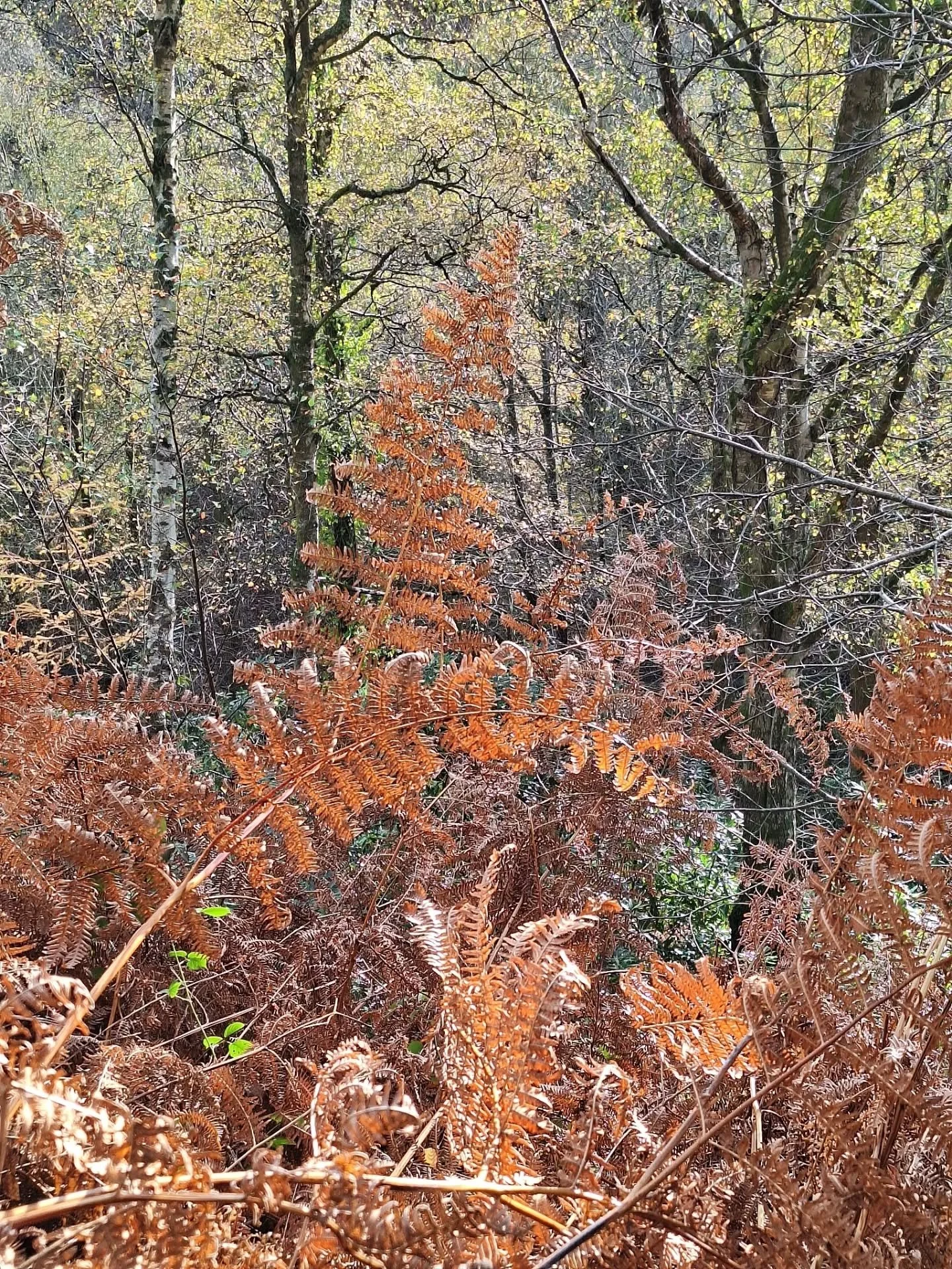 Yesterday. 
#winterafternoon