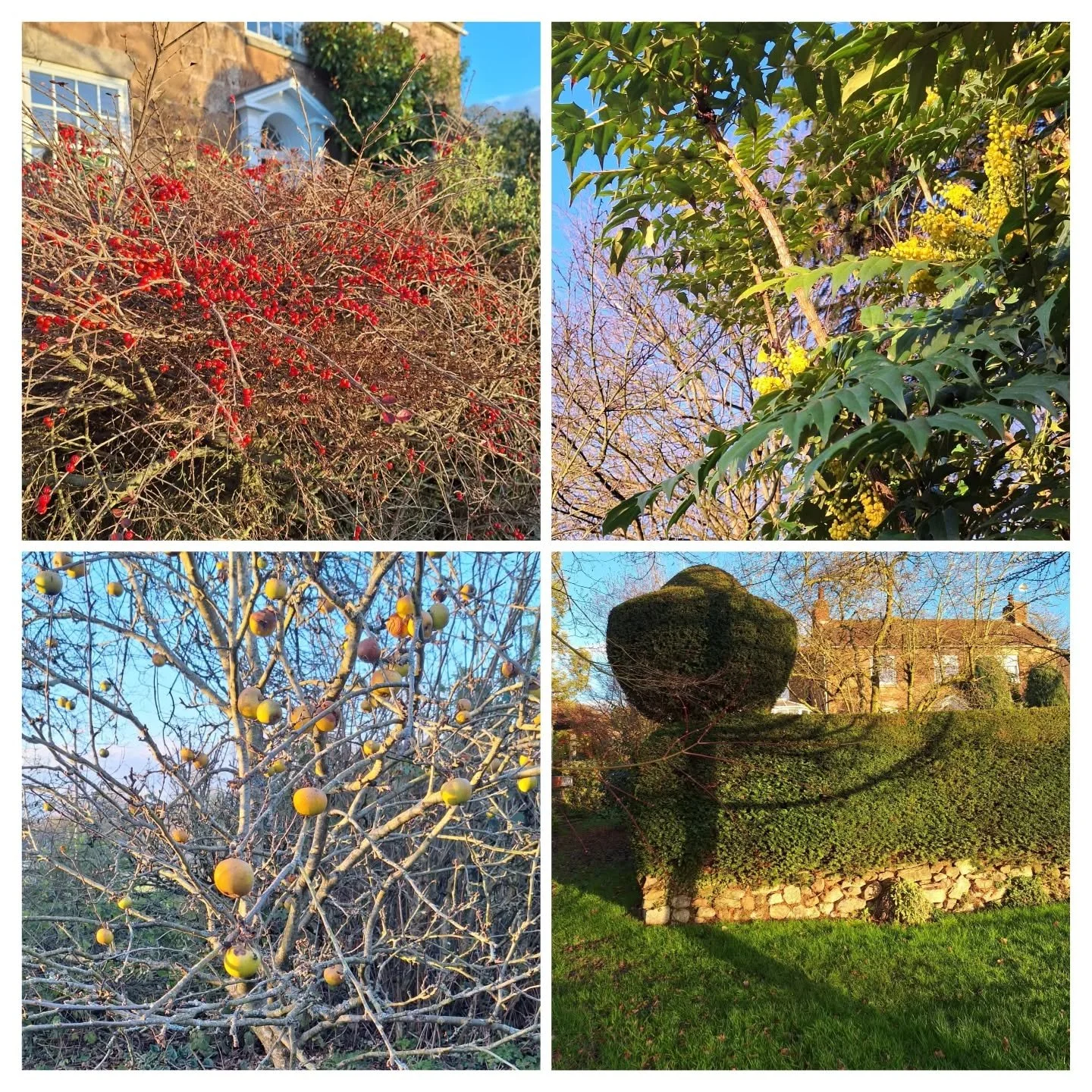 Winter light.
#winterlight #lateafternoon