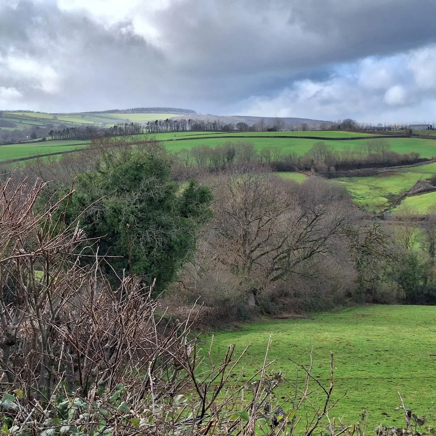 Sunday walk. 
#sunday #walk #sunshine #warmth