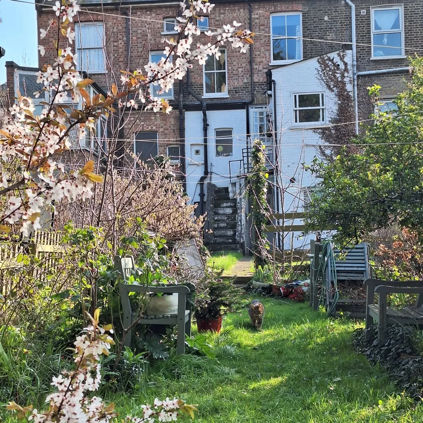 I feel like I'm in a @melissa.scottmiller painting!