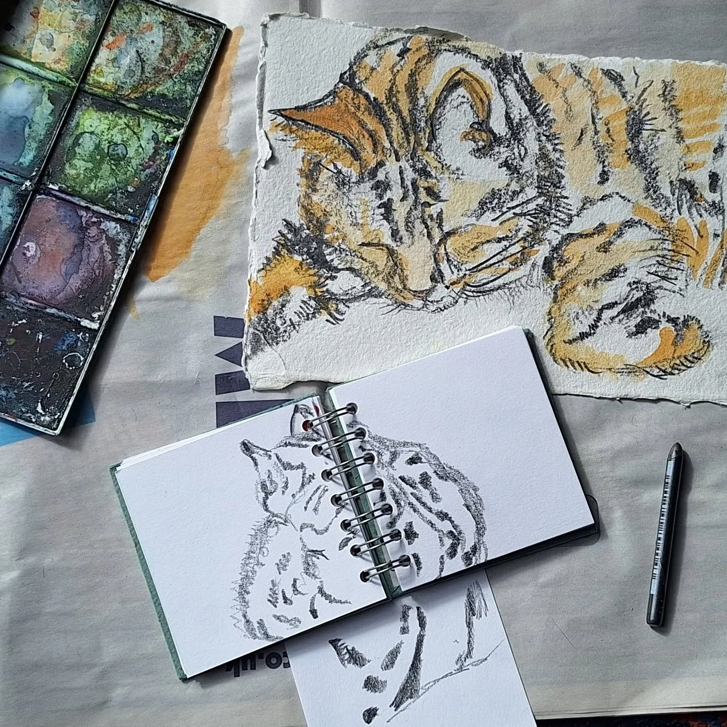 Sunday morning cat drawing! 
#cat#sketching #tabbycat