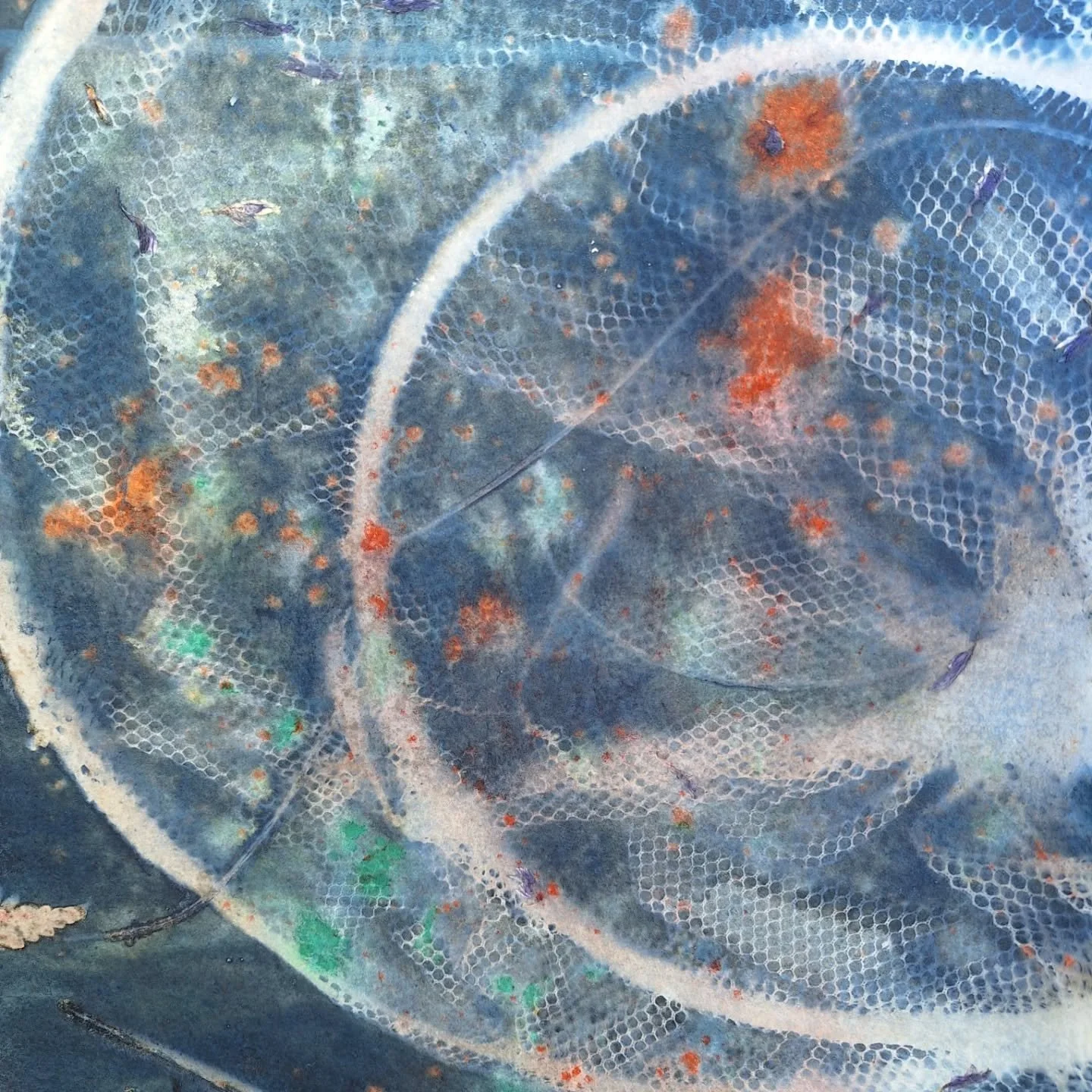 Print making
#cyanotype #inks #pigments #fishingthing