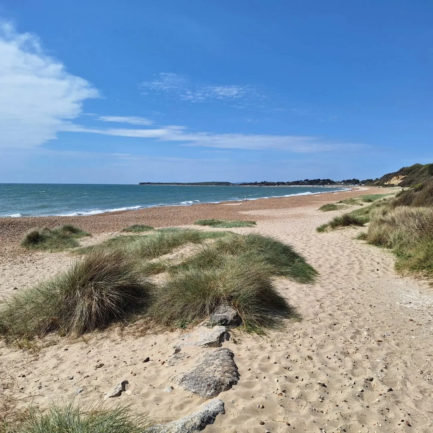 Lovely Dorset holiday. Sea and trees. Thank you Val.
Xx