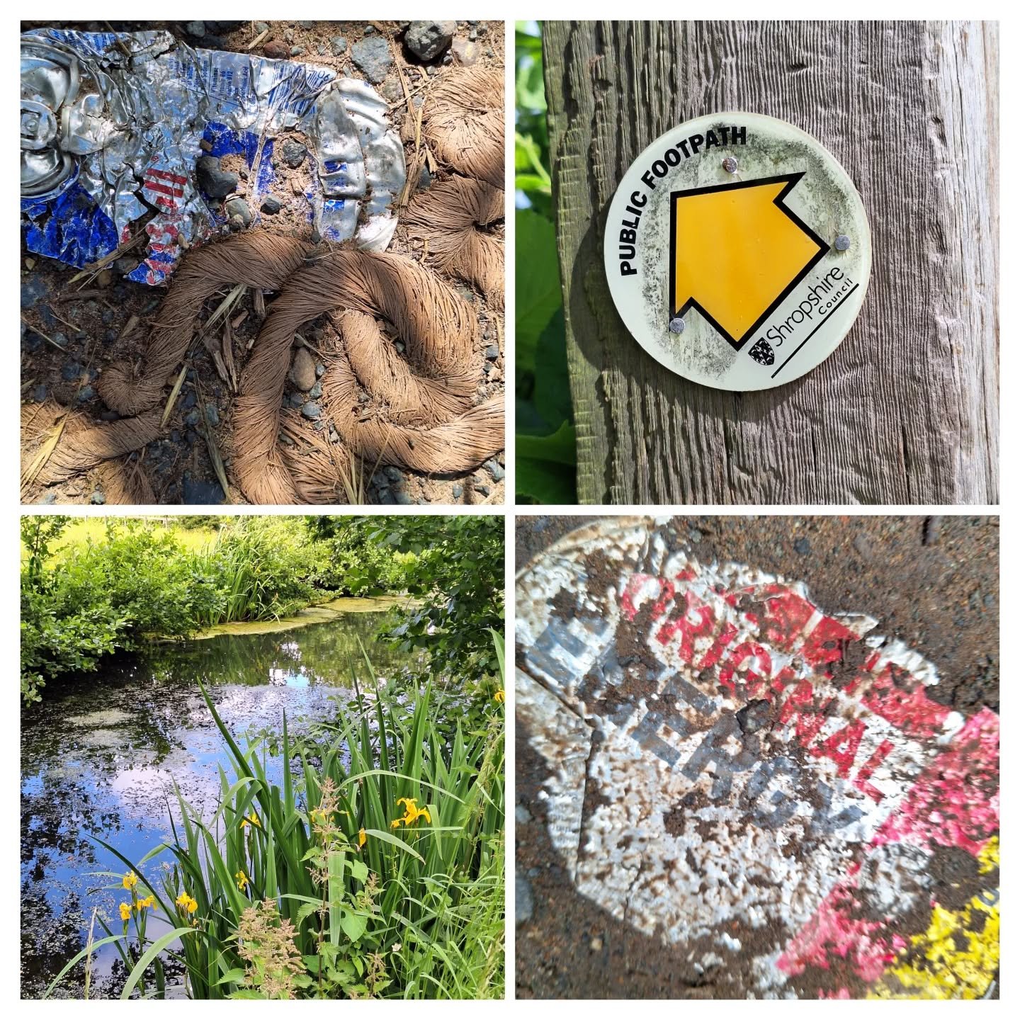 Today's walk
#originalenergy #summertime #pond #footpath