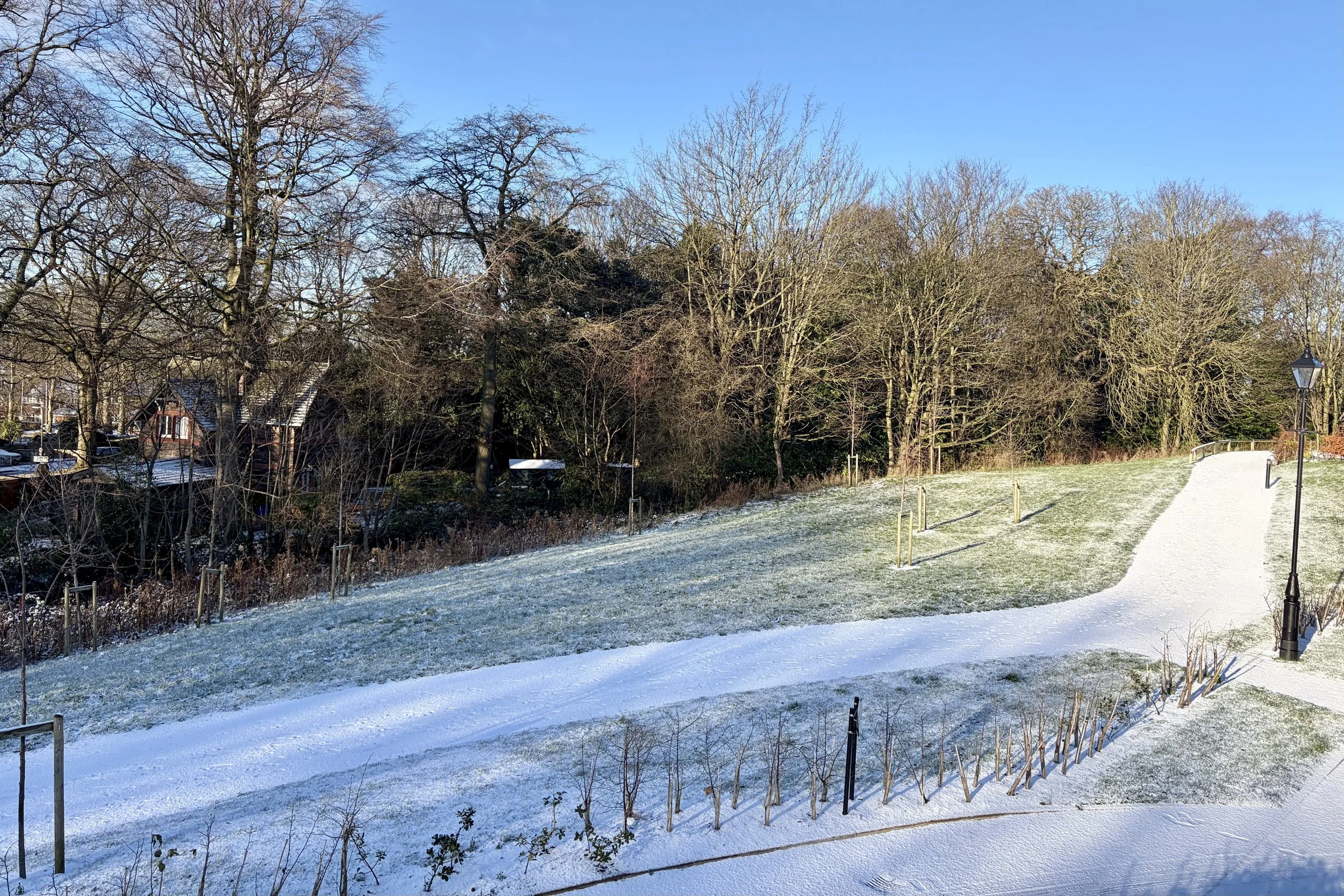 The Contradiction of a New Year