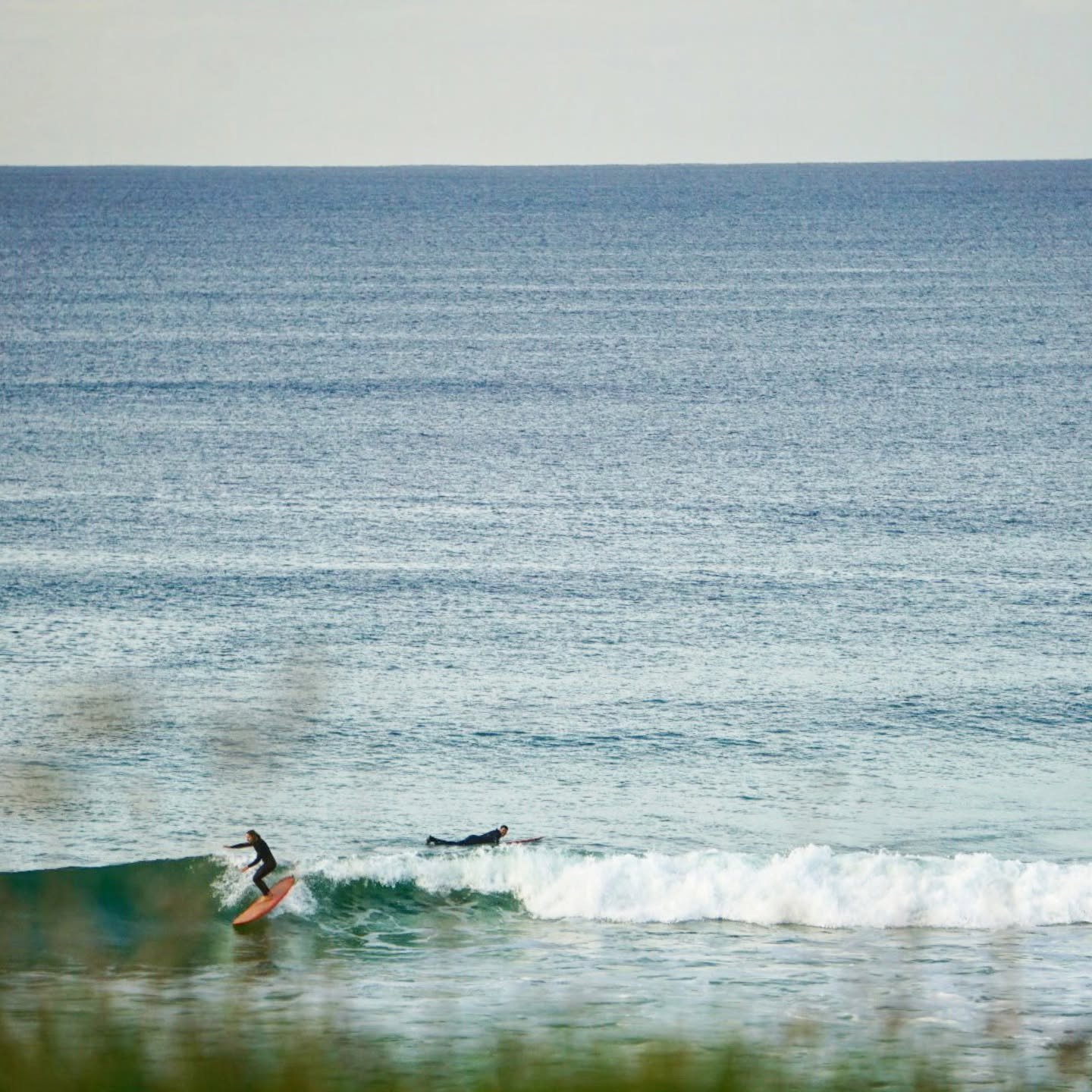 🤙 WORK & STAY en Surf 😉 .
.
🗓️ We zoeken weer wat hulp voor eind september / begin oktober. 
.
📞 Neem contact op als je interesse hebt!