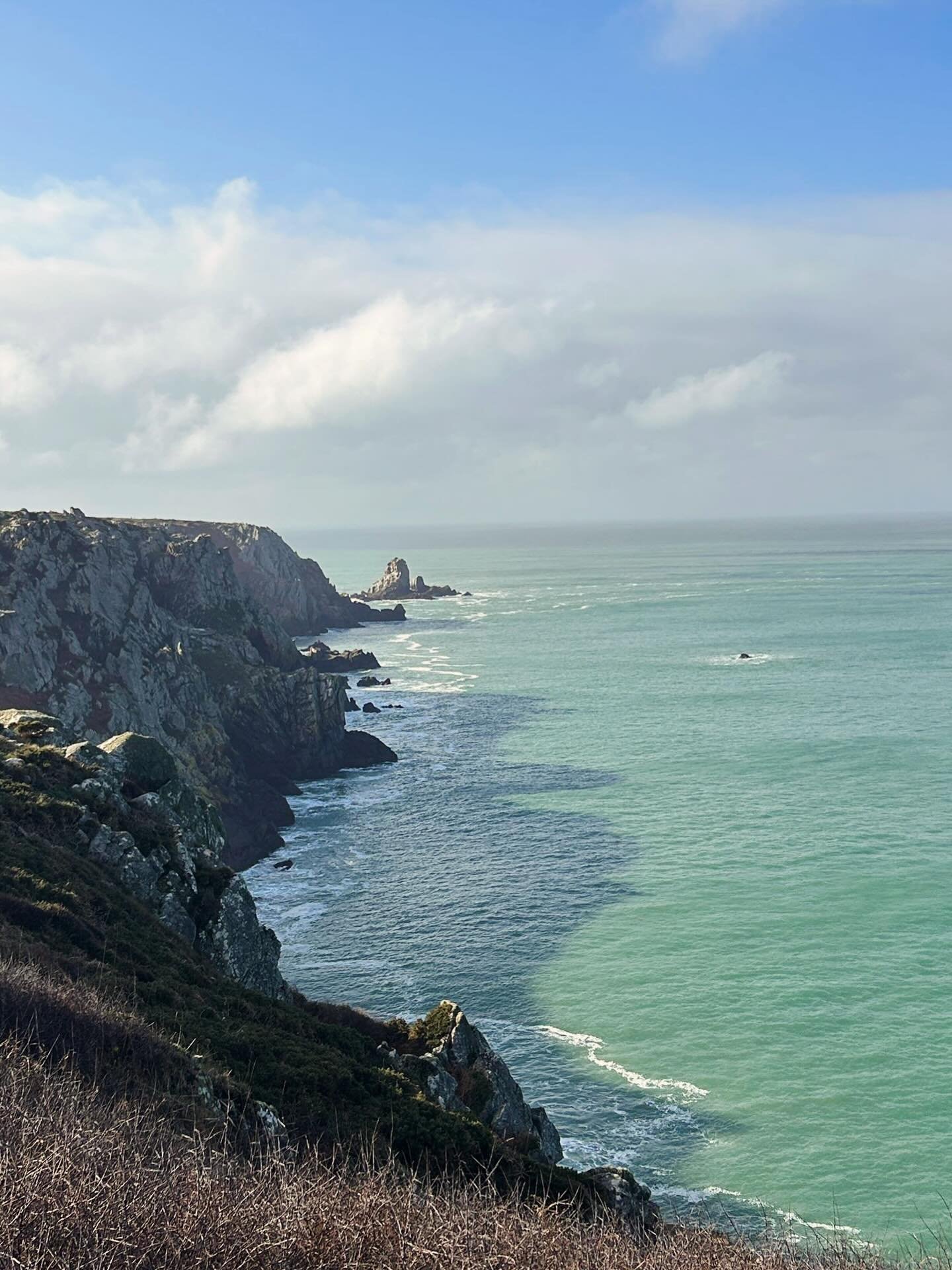 🤙 Today was a good day! Felt like a -STOKED WEEK- kinda day!