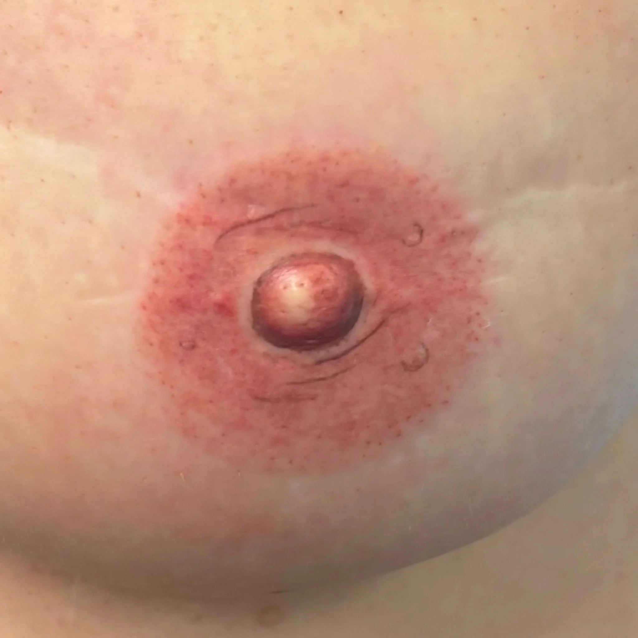 WhatsApp Image 2025-05-26 at 15.35.00.jpeg