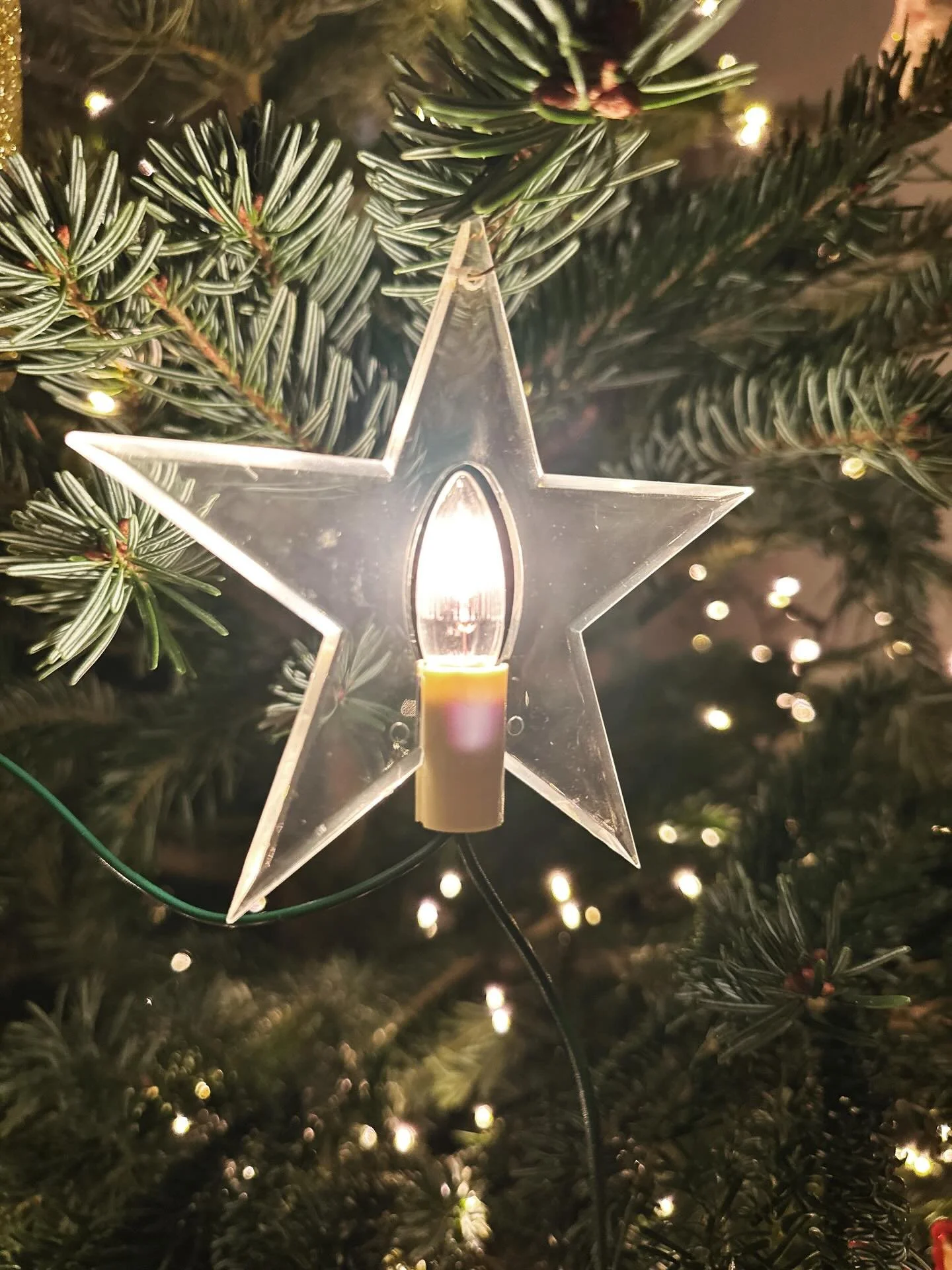 Soms is de traditie mooier dan beige 🧚&zwj;♀️🐸🐒🐤🦄🦖🍄🍬🎀🧸 
De kids mogen elk jaar een kerstbal kiezen. Na 2 jaar de hunkering van de kids om hun ballen weer eens te mogen hangen in de grote boom, ging hun beige moeder overstag. De ster-lampjes