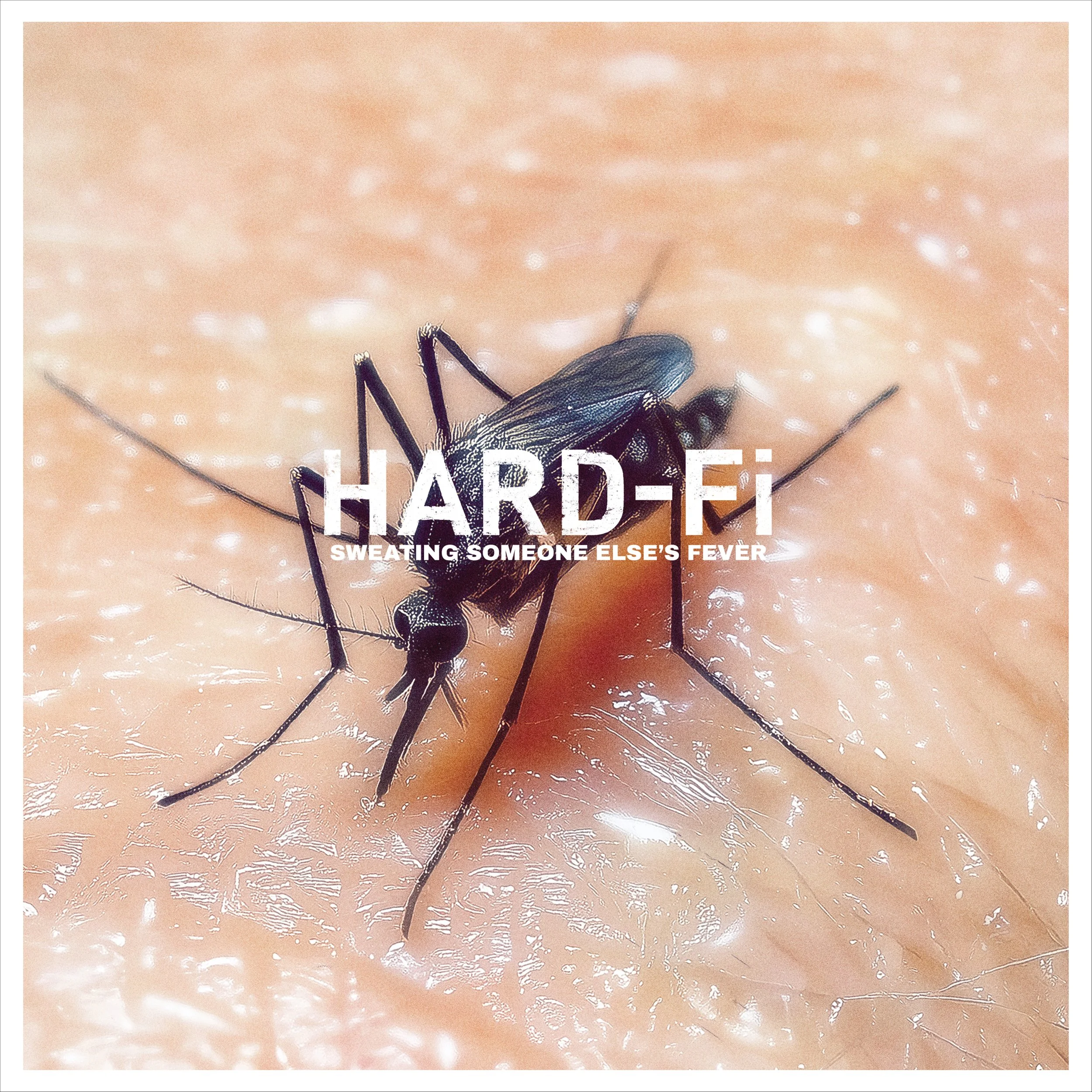 Hard-Fi&nbsp;Return With Brand New Studio Album&nbsp;Sweating Someone Else’s Fever