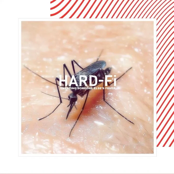 This week&rsquo;s New Music Friday including Hard-Fi, Metropole Orkest, Kids With Buns and more. 🔁