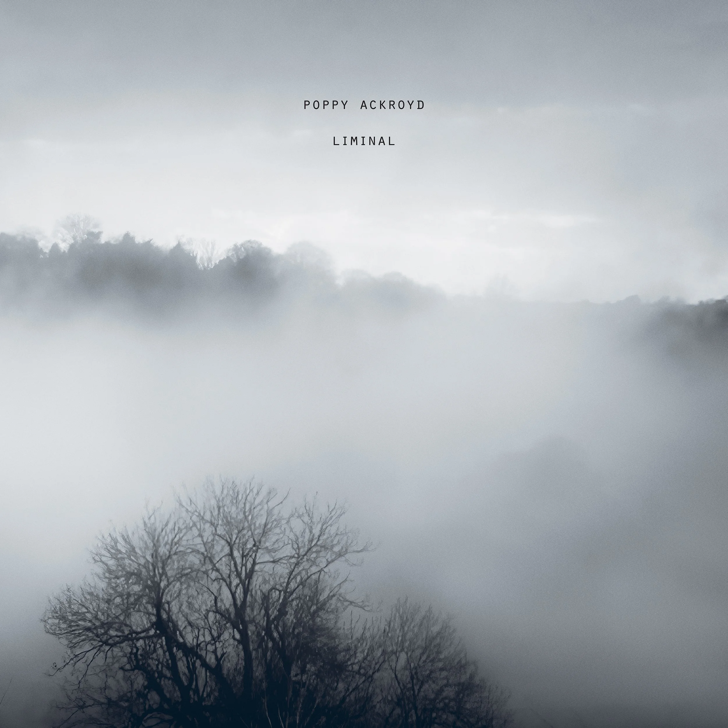 Poppy Ackroyd Album ‘Liminal’ out now, via One Little Independent Records