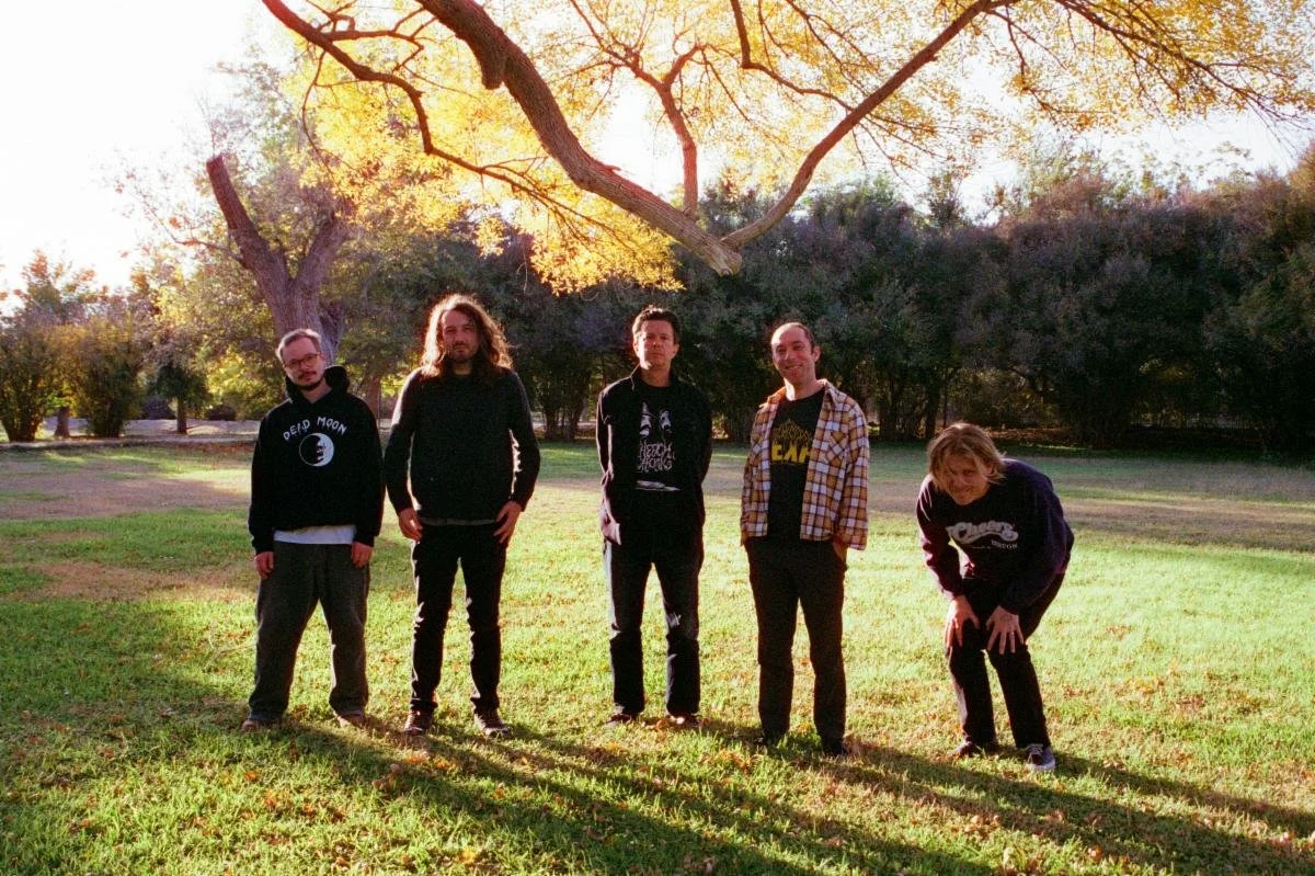 Ty Segall shifts into sharp metallic form on his new album: Chrome, To be released aug 28th