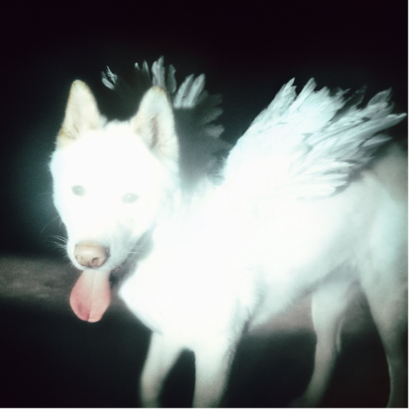 Fat Dog announce second album Cancel Me (I’m Tired) for Oct 2nd