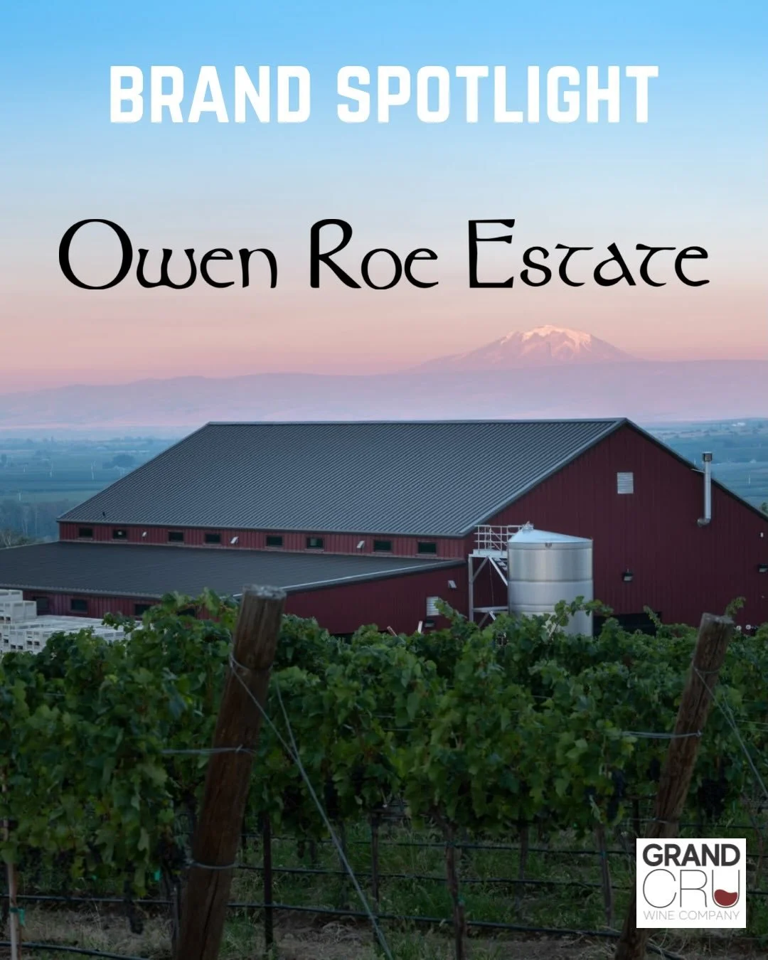 Brand Spotlight this week is Owen Roe!

Renowned for its high-quality, handcrafted, terroir-driven wines that reflect the owners&rsquo; deep Irish roots. 

Founded in 1999 by David O&rsquo;Reilly and his wife, Angelica, the winery emphasizes traditio