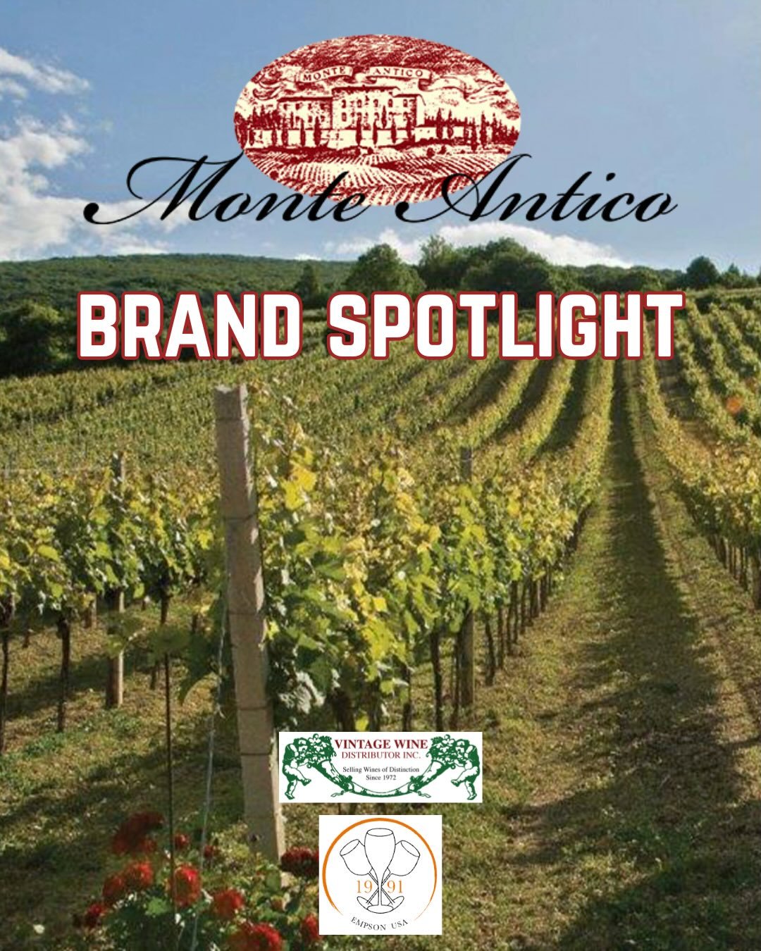 Founded in 1977 by the Empson family, Monte Antico&rsquo;s vineyards represent a cross-section of Tuscany&rsquo;s iconic terroir.

Food friendly, elegant, and consistently one of Tuscany&rsquo;s best.

#VWD #vintwine