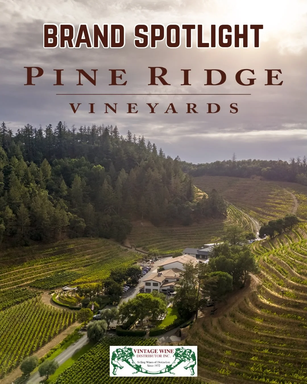This week&rsquo;s Brand Spotlight is Pine Ridge Vineyards!

In the heart of the Stags Leap District, Pine Ridge Vineyards has produced classic, balanced wines for more than 40 years. From their elegant Cabernet Sauvignon, to their experimental projec