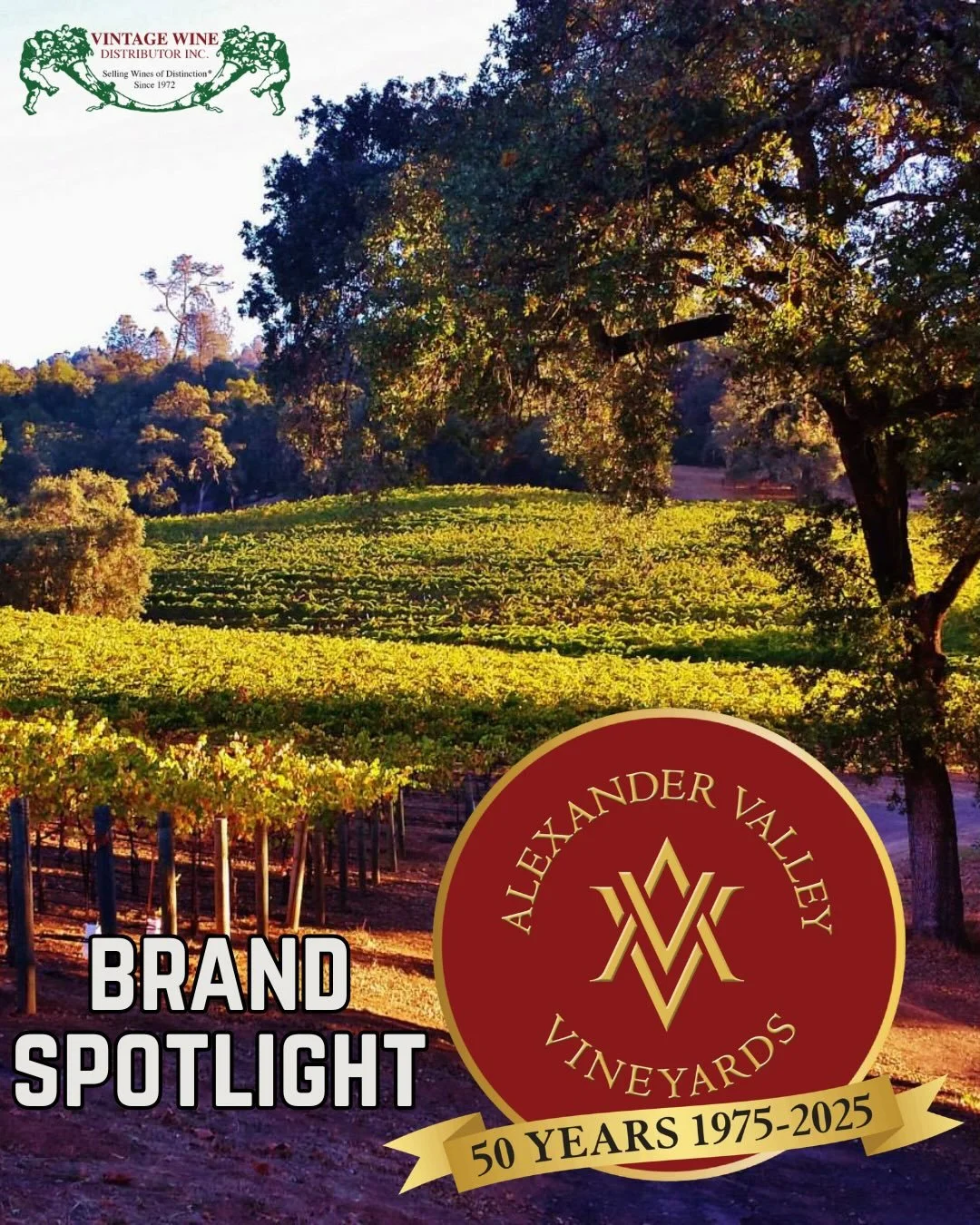 ALEXANDER VALLEY VINEYARDS

FOUR GENERATIONS.
DECADES OF FAMILY FARMING.
ONE SPECIAL PLACE.

In 1962, Alexander Valley was mostly orchards and pasture when Harry and Maggie Wetzel purchased a portion of the Cyrus Alexander homestead. The following ye