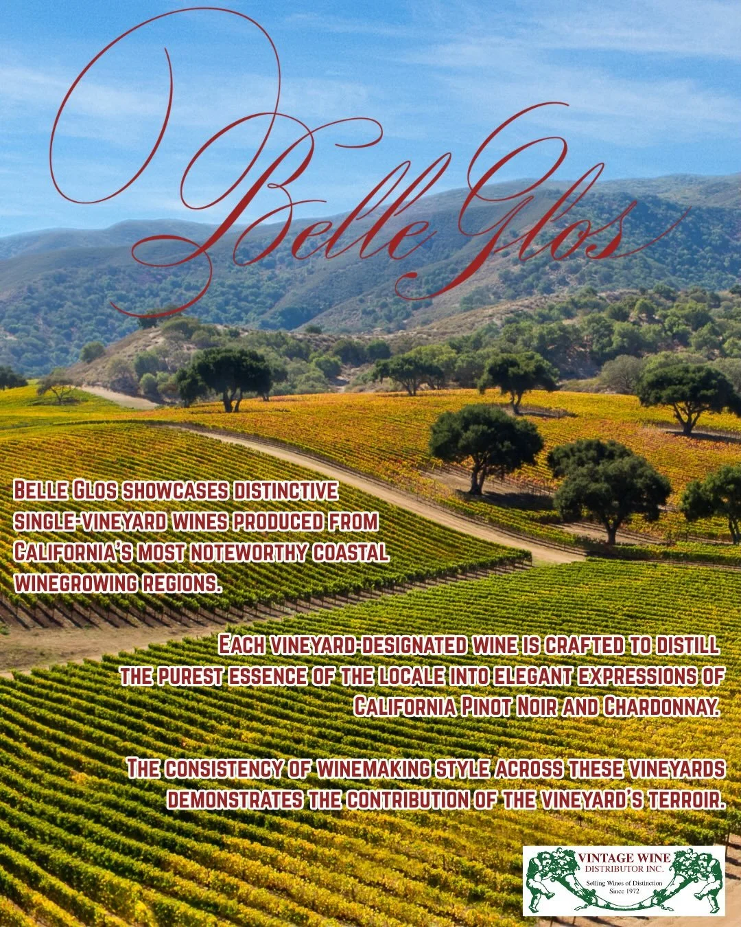 BELLE GLOS // CALIFORNIA

From California&rsquo;s premier vineyard to your table, Belle Glos celebrates the unique terroir of the coast. Each single vineyard Pinot Noir is crafted to be a reflection of the land. Capturing the true spirit of the Pacif