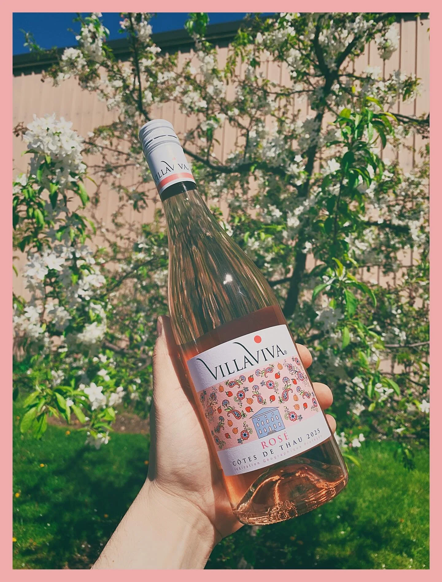 Hailing from the Cotes du Thau region, surrounding the fishing village of Sete, these vineyards sit on fossilized oyster beds, limestone, and quartz and benefit from the sunny and dry climate of the Mediterranean.

50% Cinsault, 35% Grenache Gris, an