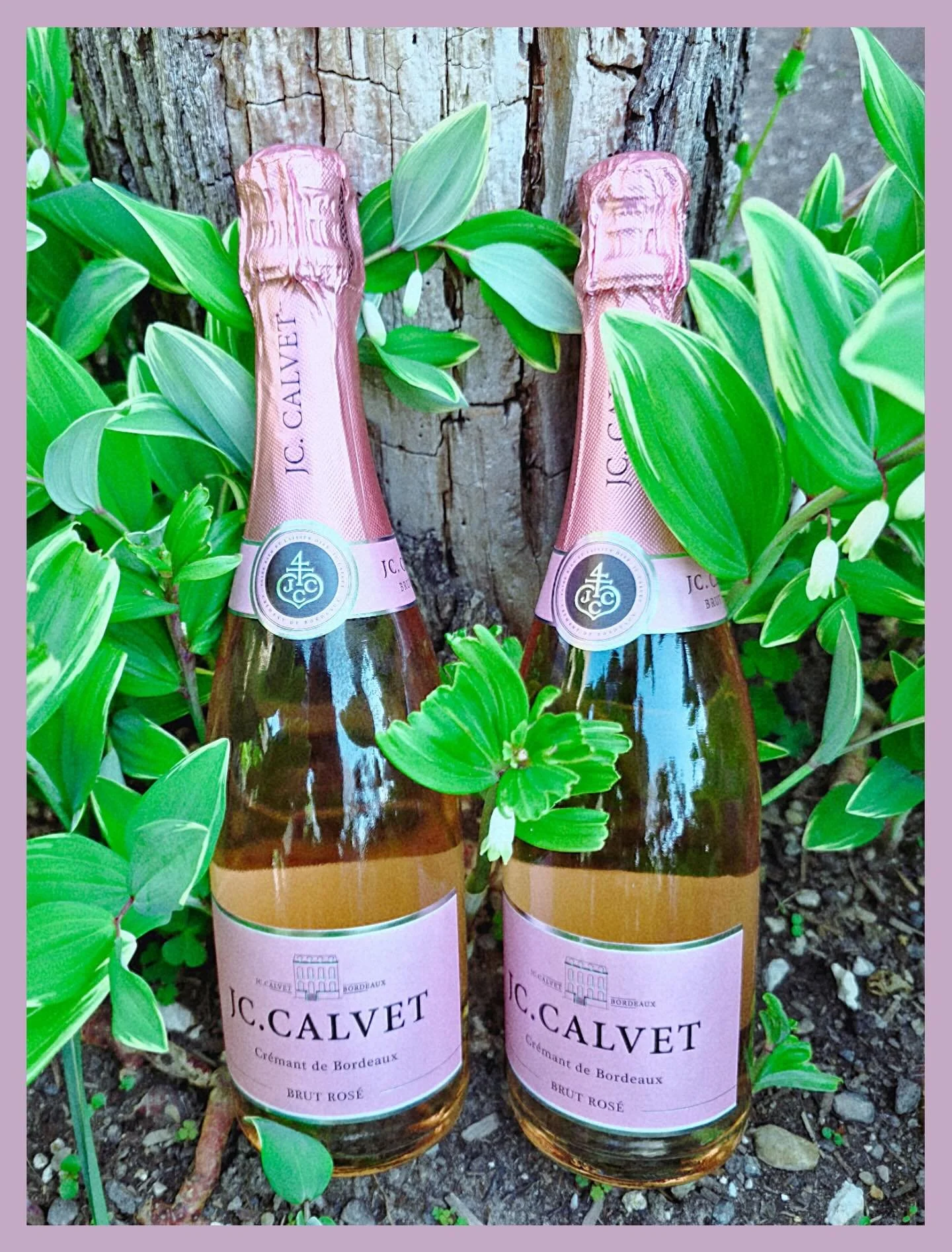 We&rsquo;re loving this weather, so how about some bubbles!?

This Cremant de Bordeaux is made Method Champenoise from 70% Cab Franc &amp; 30% Merlot, with a full year lees aging. It has an elegant nose of ripe berries and cassis. It&rsquo;s tight, d