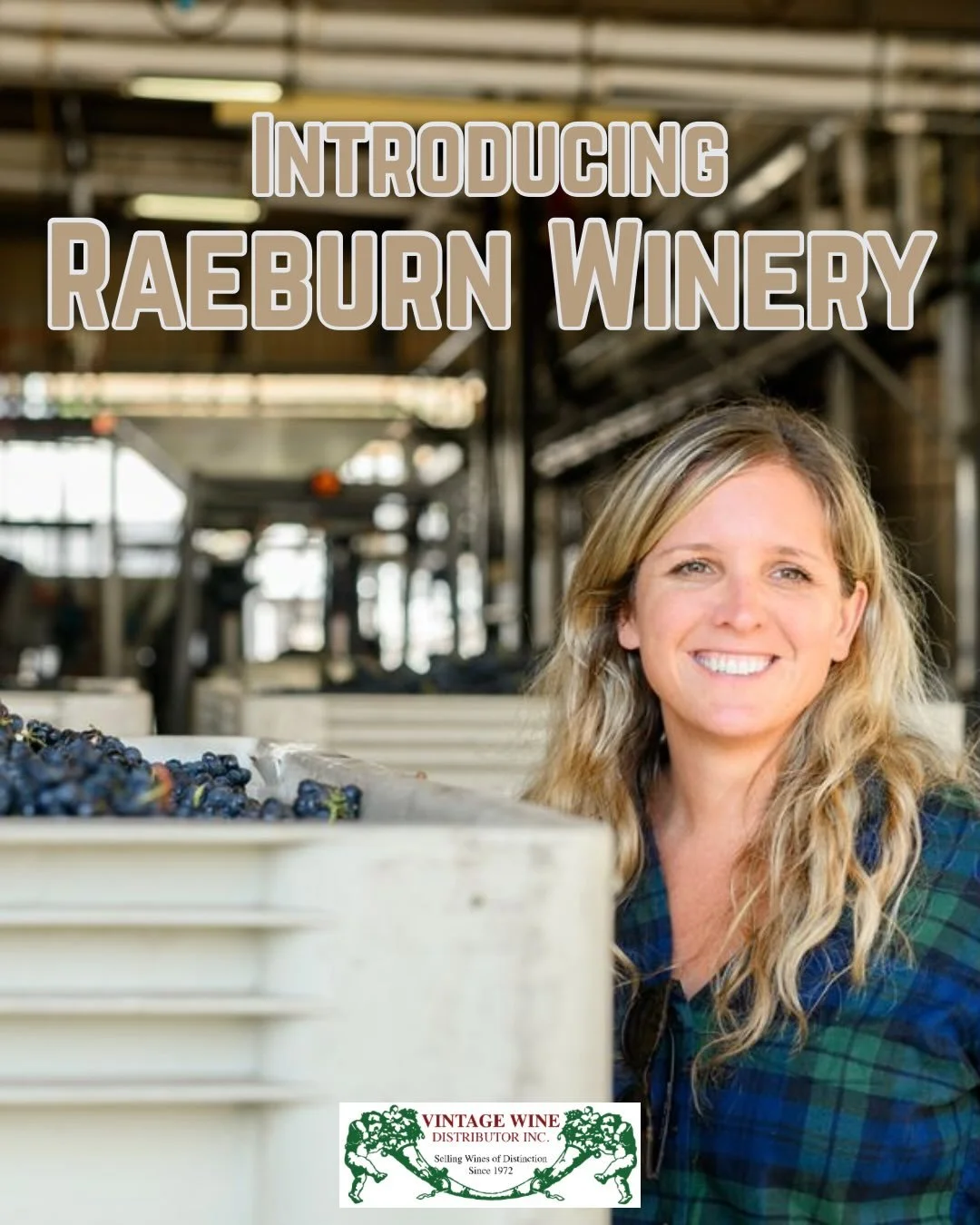 💥BIG NEWS💥

Today we are introducing Raeburn Winery to our statewide portfolio!

Raeburn wines are handcrafted in beautiful Sonoma County, California. Utilizing the Russian River Valley climate, it opens the door to the Pacific Ocean&rsquo;s cool b