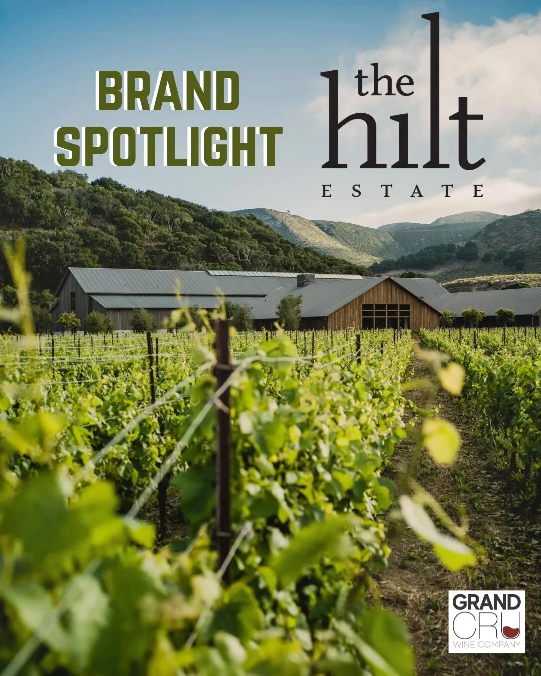 Brand spotlight this week belongs to&hellip;

THE HILT ESTATE

These are vibrant, coastal estate wines that are defined by the maritime influence of the Pacific. 

The Santa Rita Hills is a complex AVA. Complex enough to produce world class Chardonna