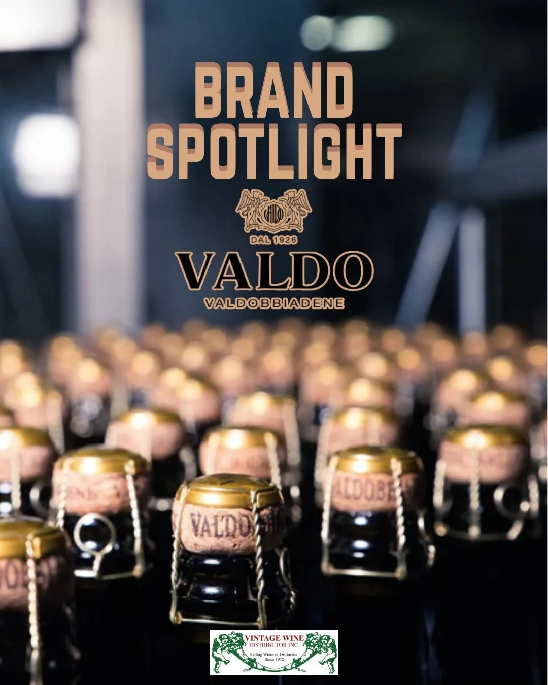 Rooted in the steep hills of Valdobbiadene,  Valdo￼ is one of the most historic and respected names in Prosecco. Founded in 1926 and guided by the Bolla family for generations, the winery has helped shape the global reputation of Conegliano Valdobbia