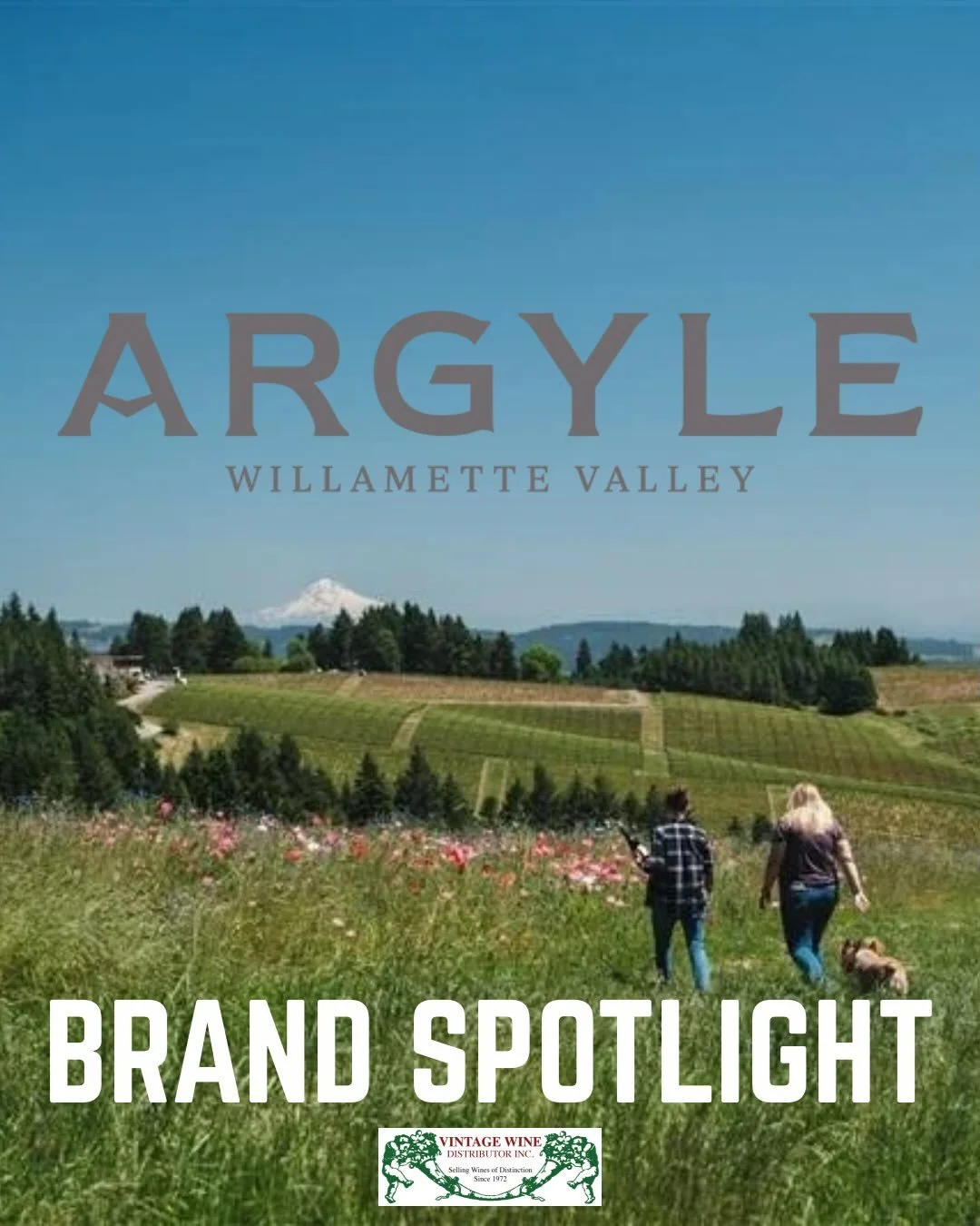 🍾 Sparkling Pioneers since 1987 🥂

Argyle Winery helped establish the region as a world-class destination for sparkling wine and remains one of the Pacific Northwest&rsquo;s most celebrated producers.

As Oregon&rsquo;s original sparkling house, th