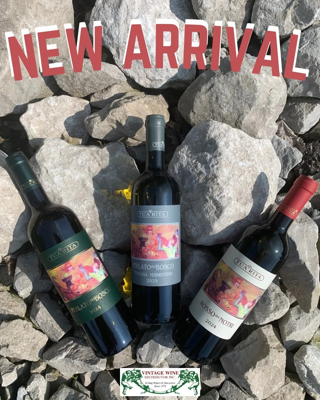 🇮🇹 some Tuscan newbies 🇮🇹

Founded in 1984 by Rita Tua and Virgilio Bisti in the hills of Suvereto, Tua Rita grew from a small five-acre vineyard into one of Tuscany&rsquo;s most celebrated estates. The winery became a leading name in Italy&rsquo
