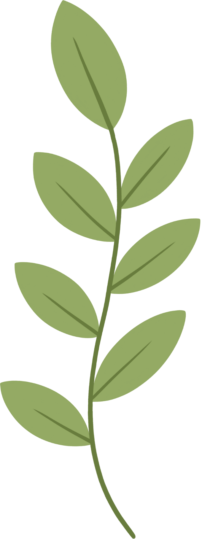 Illustration of a green leafy branch with multiple oval leaves.