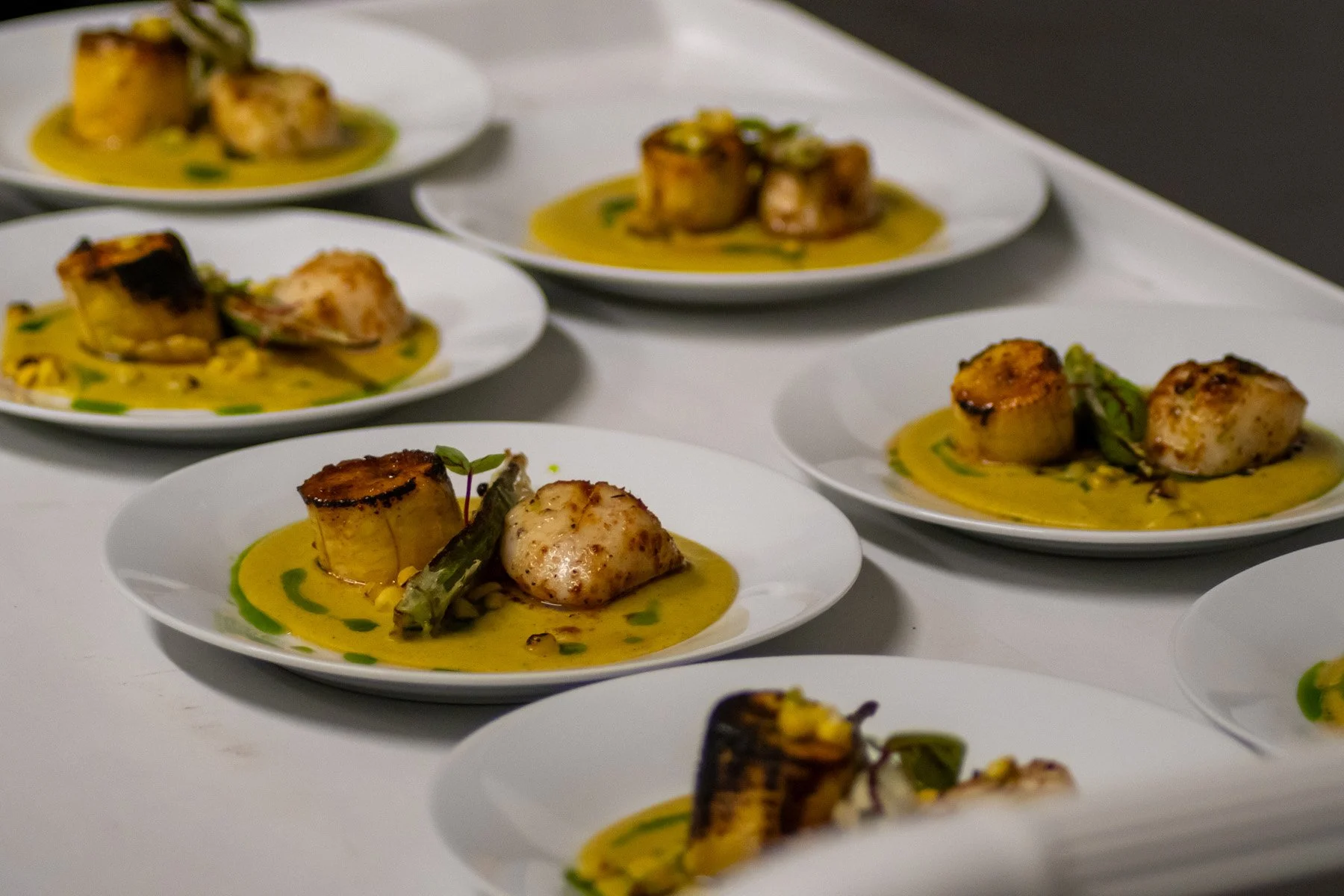 Several white plates with plated seared scallops topped with sauce and garnished with microgreens, arranged on a white surface.