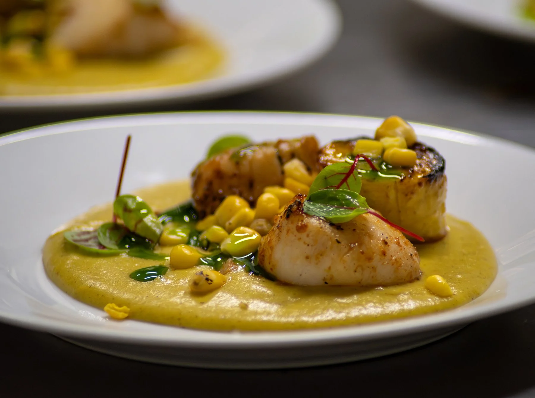 Seared scallops served with a yellow sauce, garnished with corn, microgreens, and herbs on a white plate.
