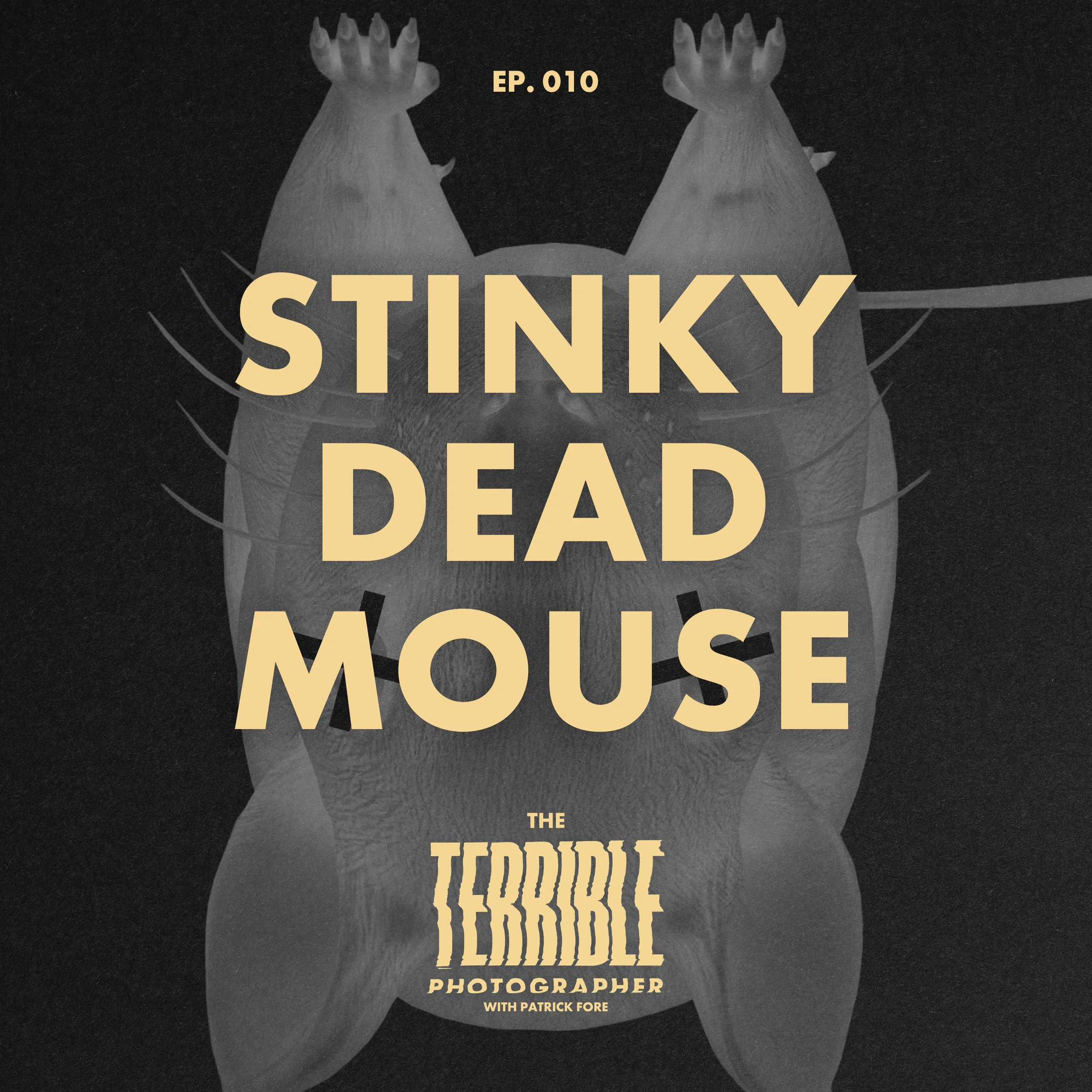 Smelly Dead Mouse: Why Your Portfolio Suffocates Your Voice