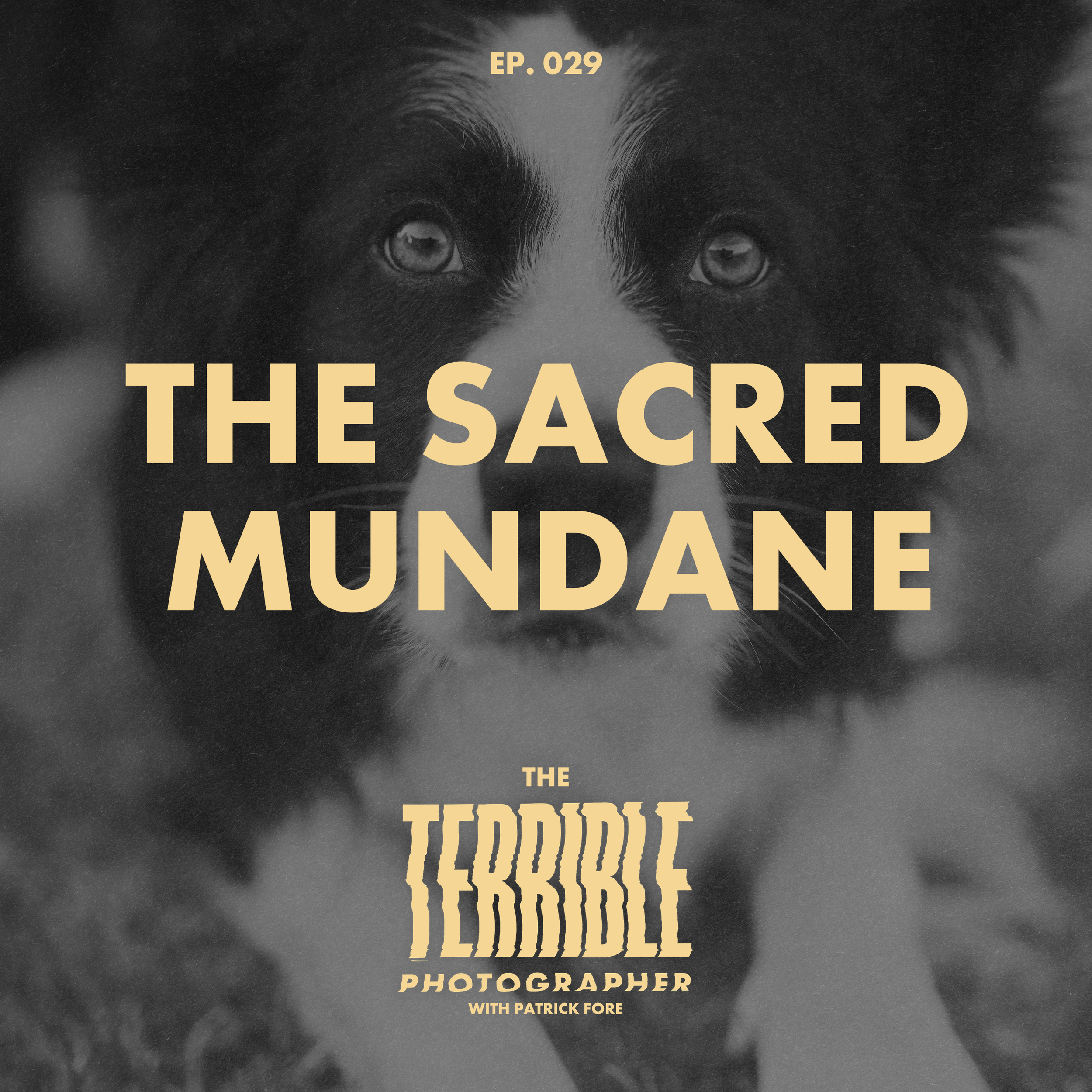 The Sacred Mundane: How Focus Became Illegal