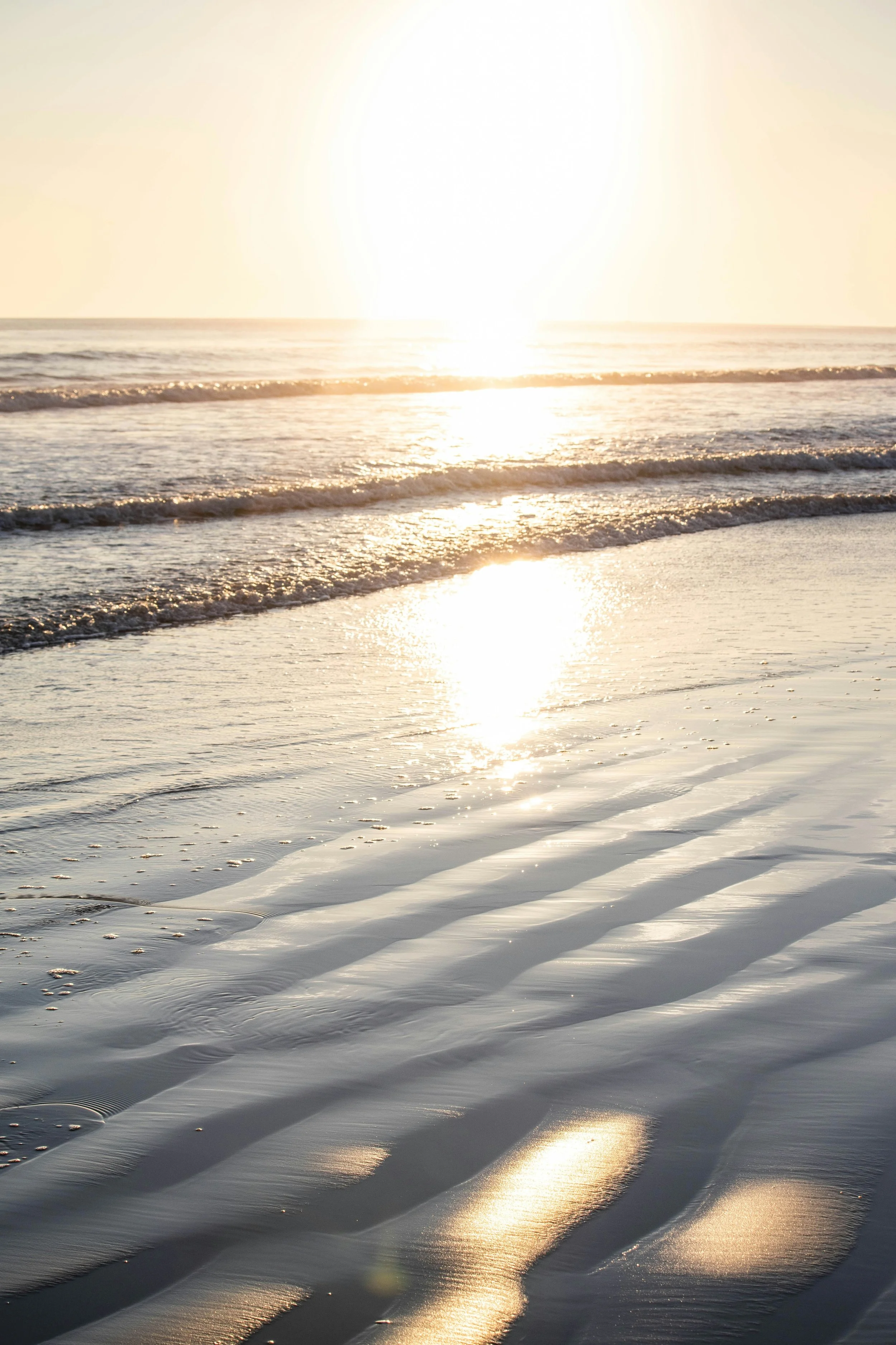 Beyond Worry - Hypnotherapy, Mindfulness and the Senses. By Sophia Barton-Pink, Dip. Hyp, MBACP (Accred), Fellow CMA