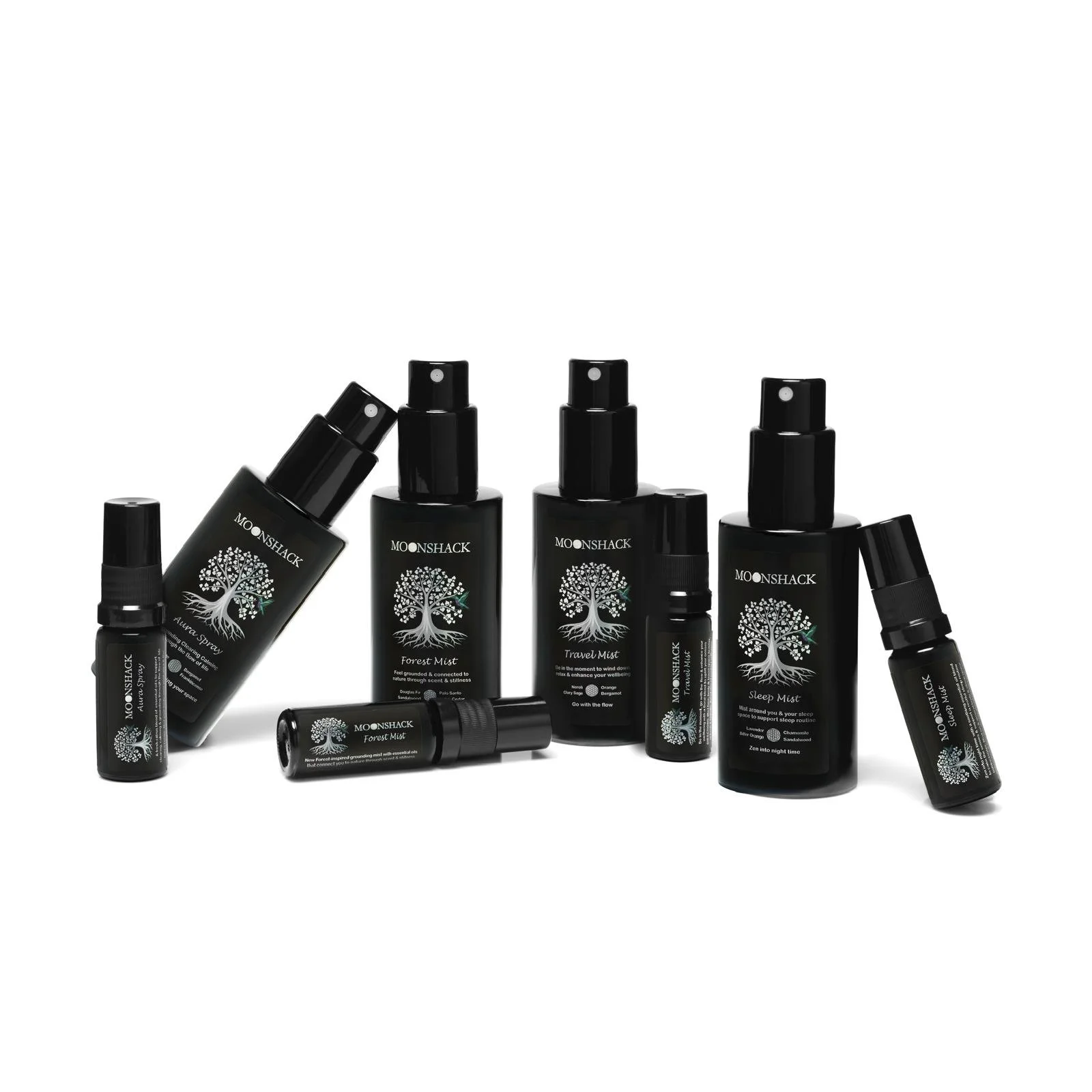 WhatsApp Image 2025-12-18 at 09.37.57.jpeg