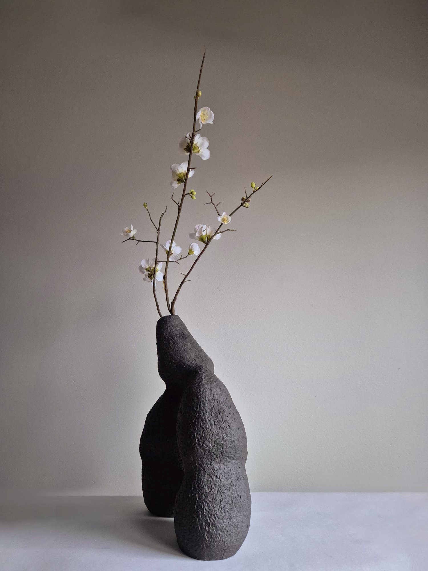 WhatsApp Image 2025-11-23 at 20.27.37 (2).jpg