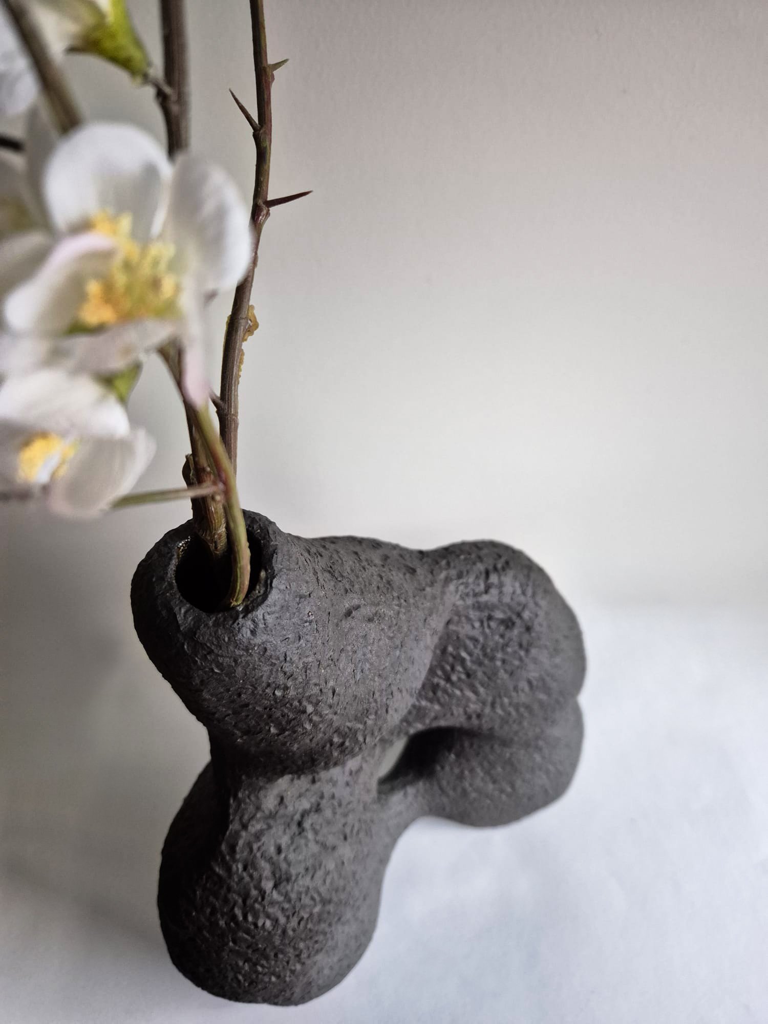 WhatsApp Image 2025-11-23 at 20.27.32.jpg