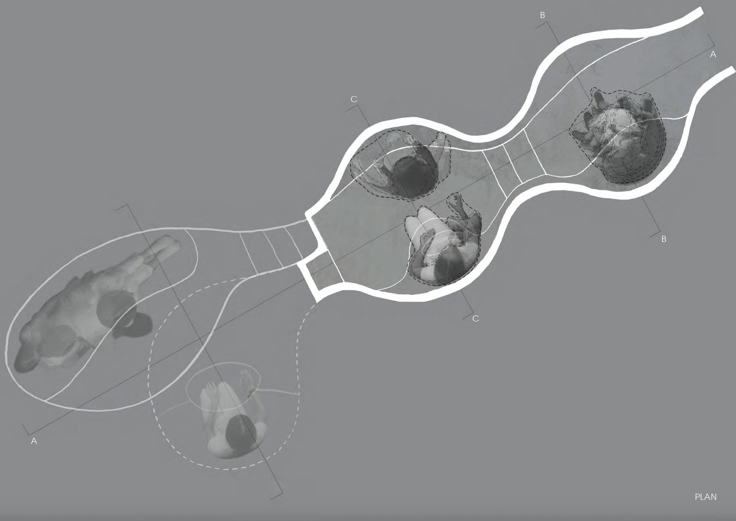 Top plan formed by the minimal organic movement of daily activities