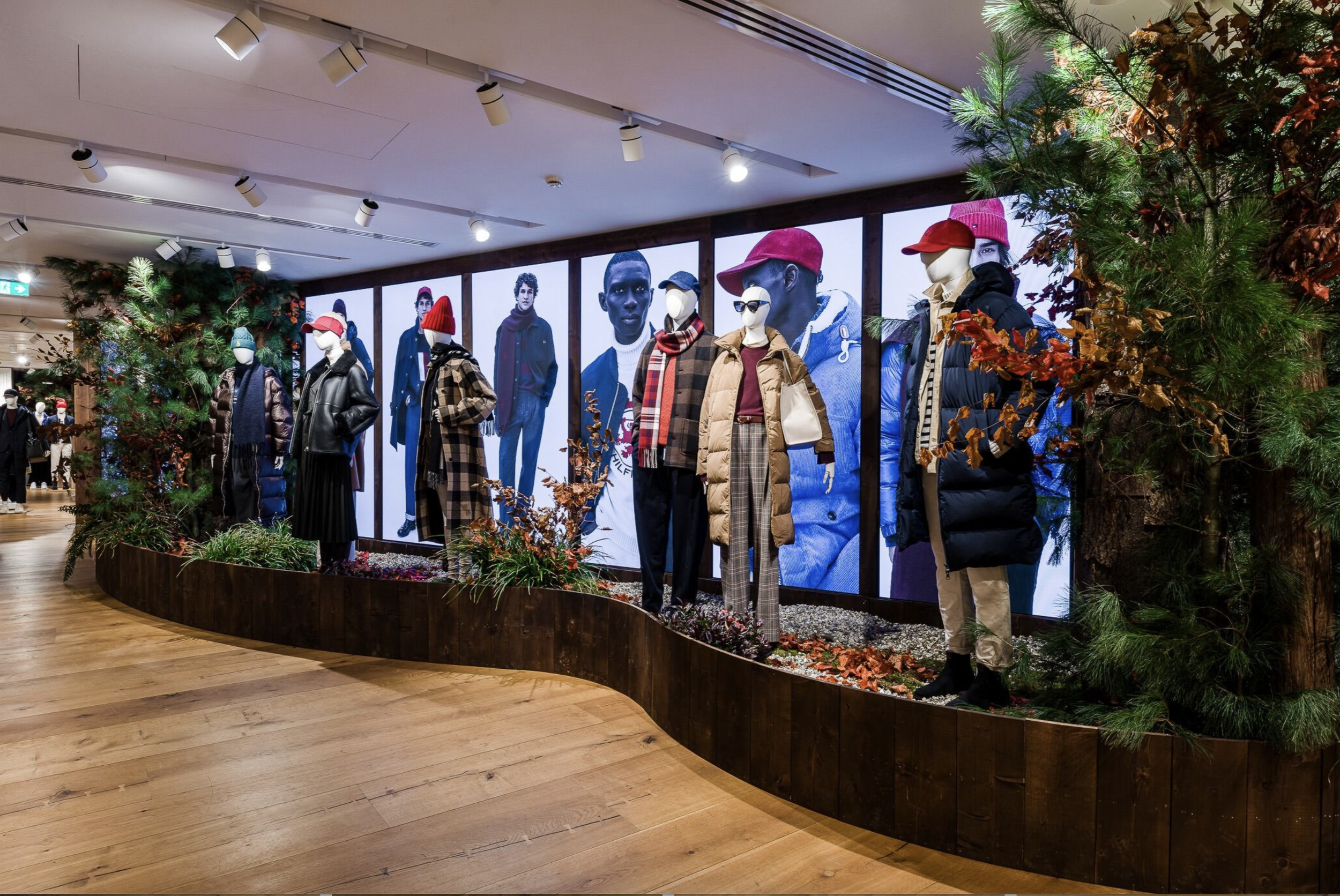 TH Showroom Seasonal creative