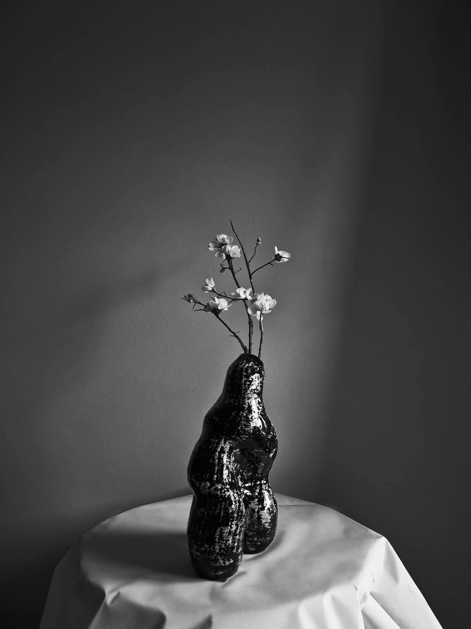 WhatsApp Image 2025-12-01 at 16.25.27.jpg