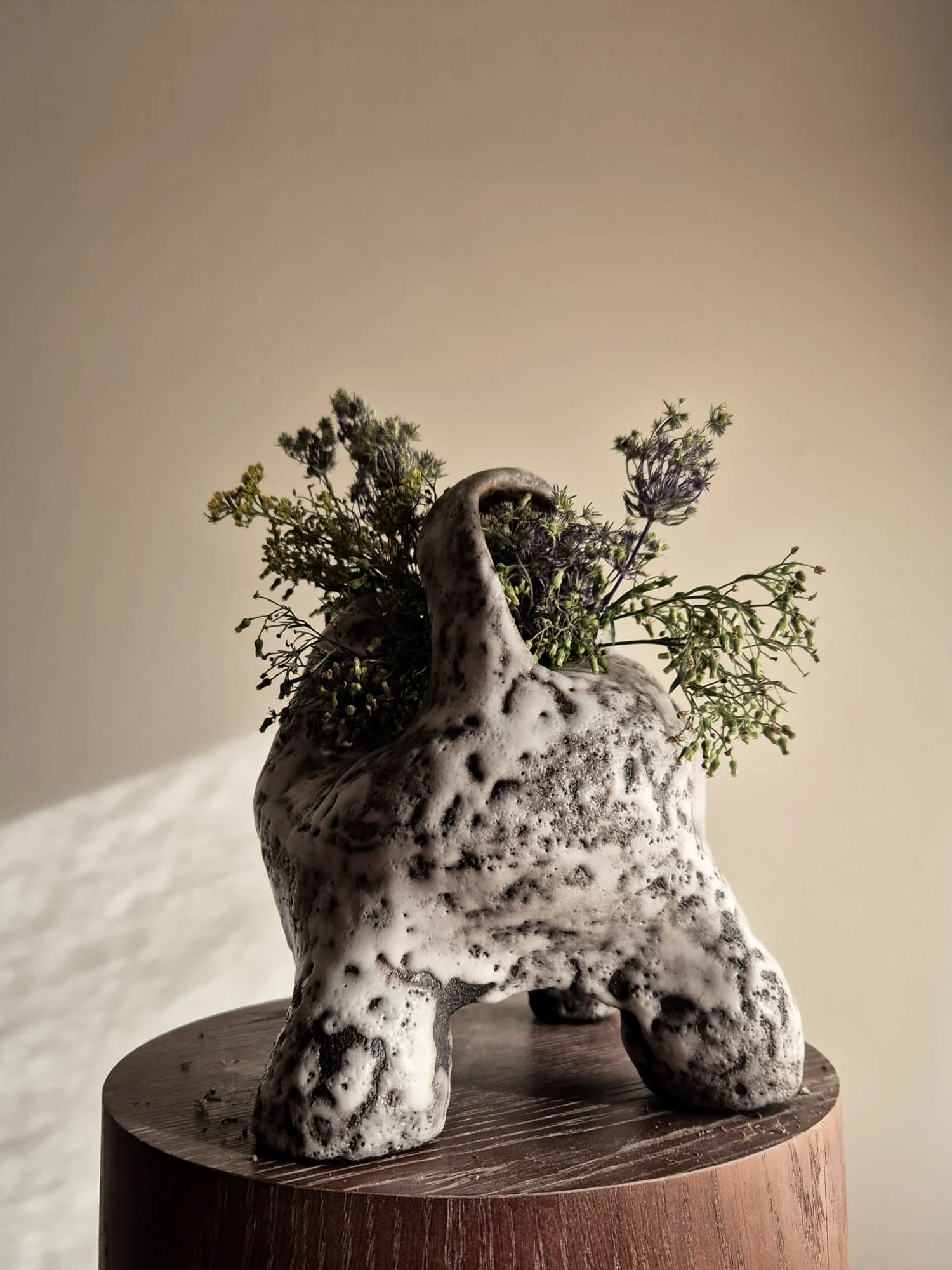 WhatsApp Image 2025-11-21 at 13.15.29 (5).jpg